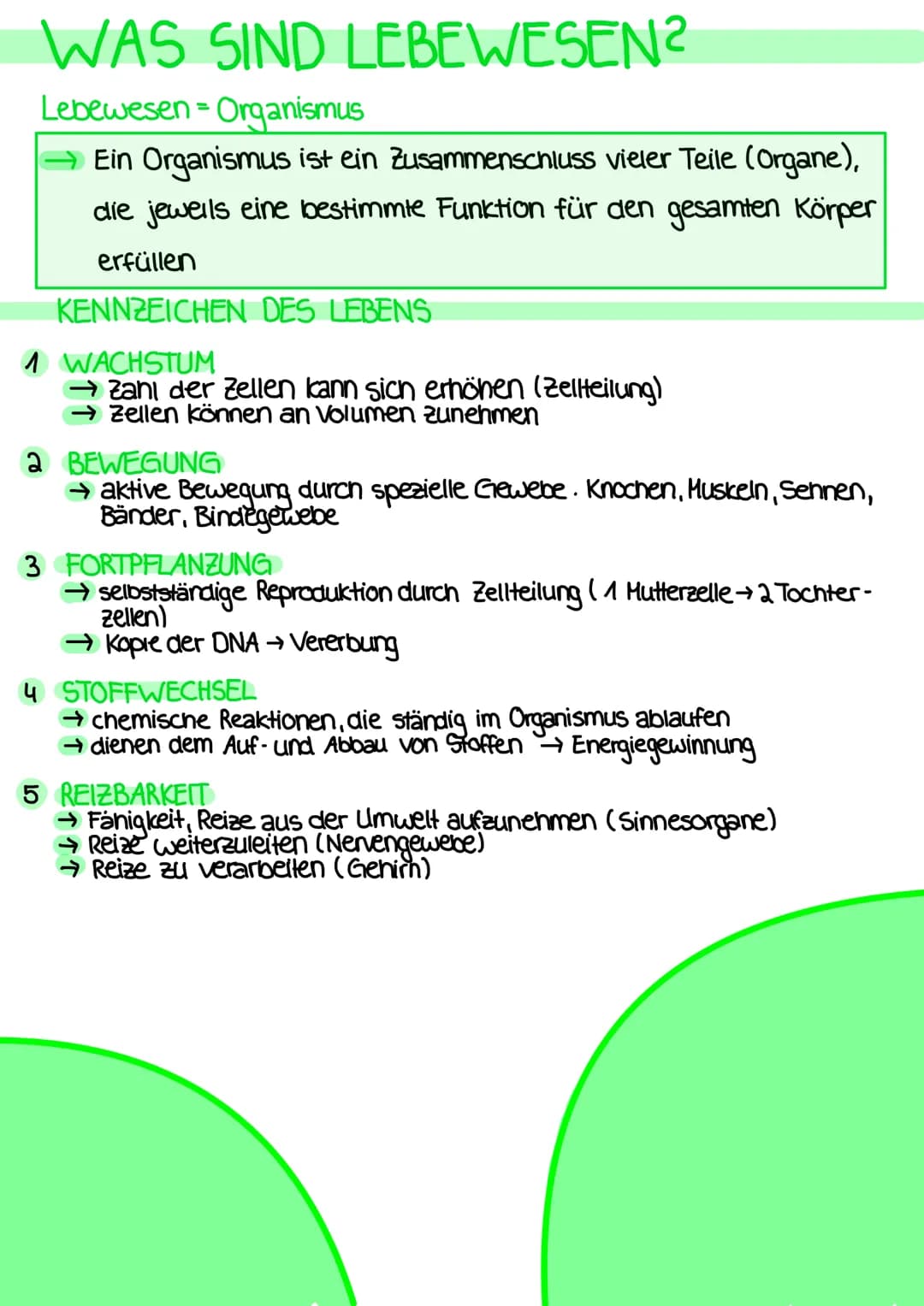 # DEFINITIONEN

ANATOMIE
- Lehre vom Bau des menschlichen Körpers
- beschäftigt sich mit der Lage, Größe, Form und Struktur der einzelnen
Be