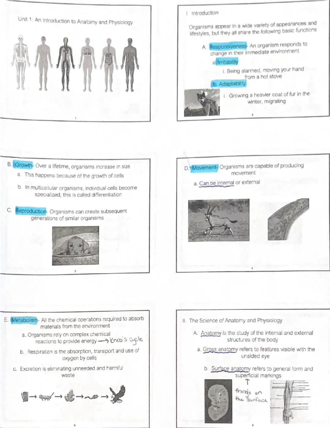 # Unit 1: An Introduction to Anatomy and Physiology

1. Introduction

Organisms appear in a wide variety of appearances and
lifestyles, but 