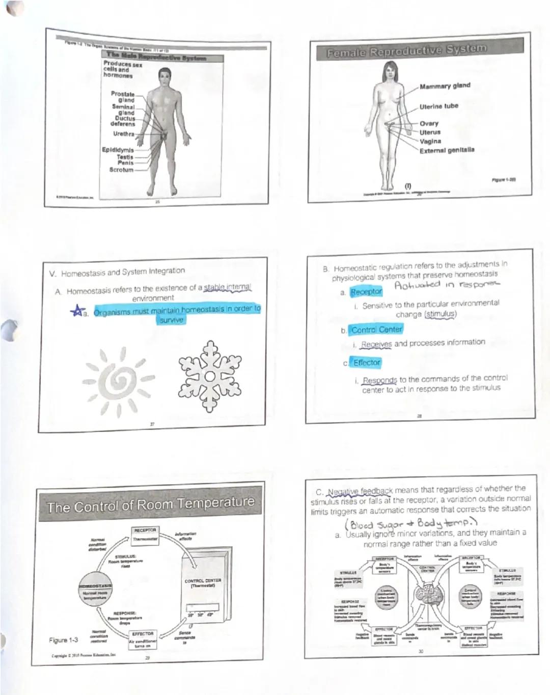 # Unit 1: An Introduction to Anatomy and Physiology

1. Introduction

Organisms appear in a wide variety of appearances and
lifestyles, but 