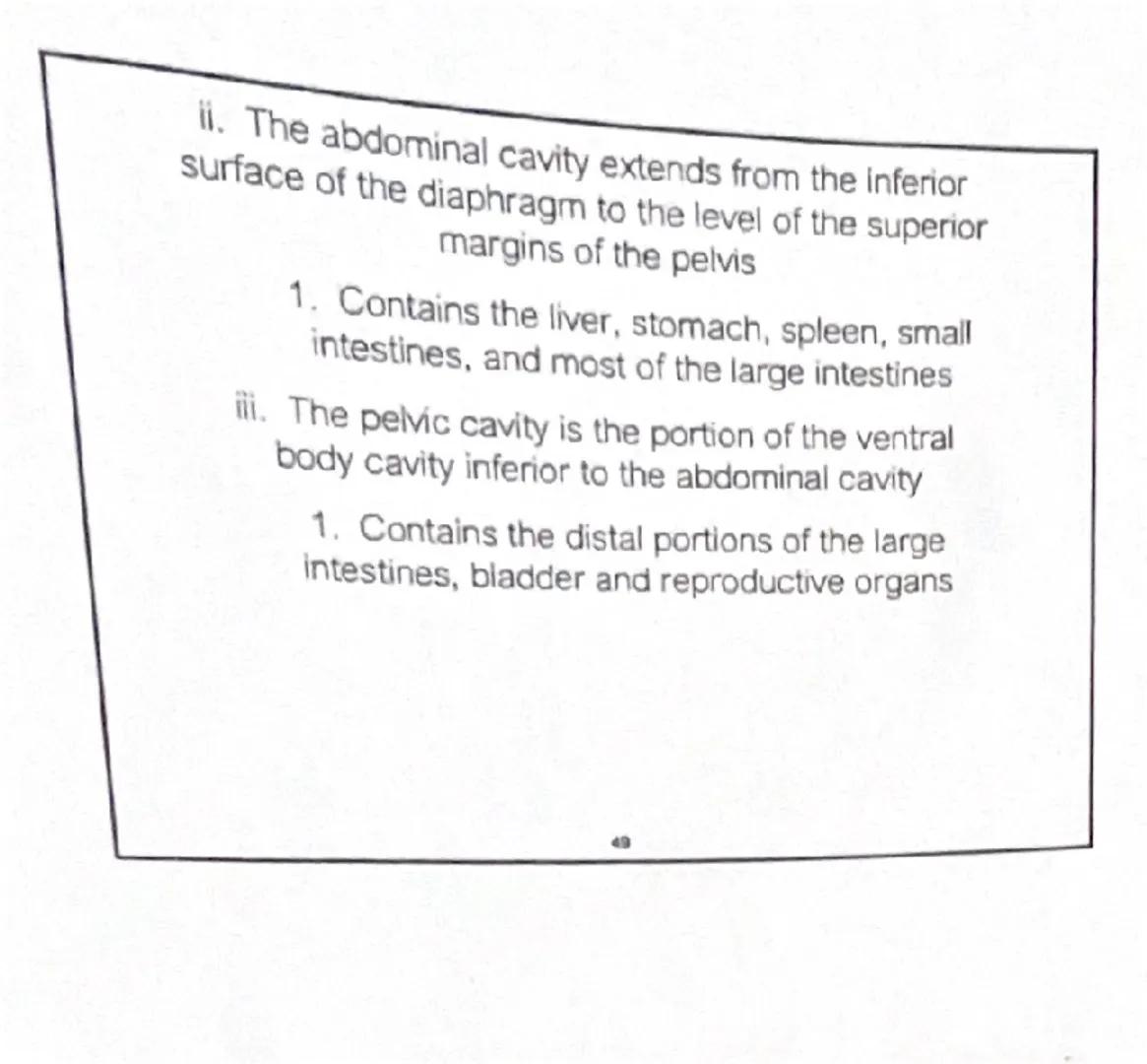 # Unit 1: An Introduction to Anatomy and Physiology

1. Introduction

Organisms appear in a wide variety of appearances and
lifestyles, but 