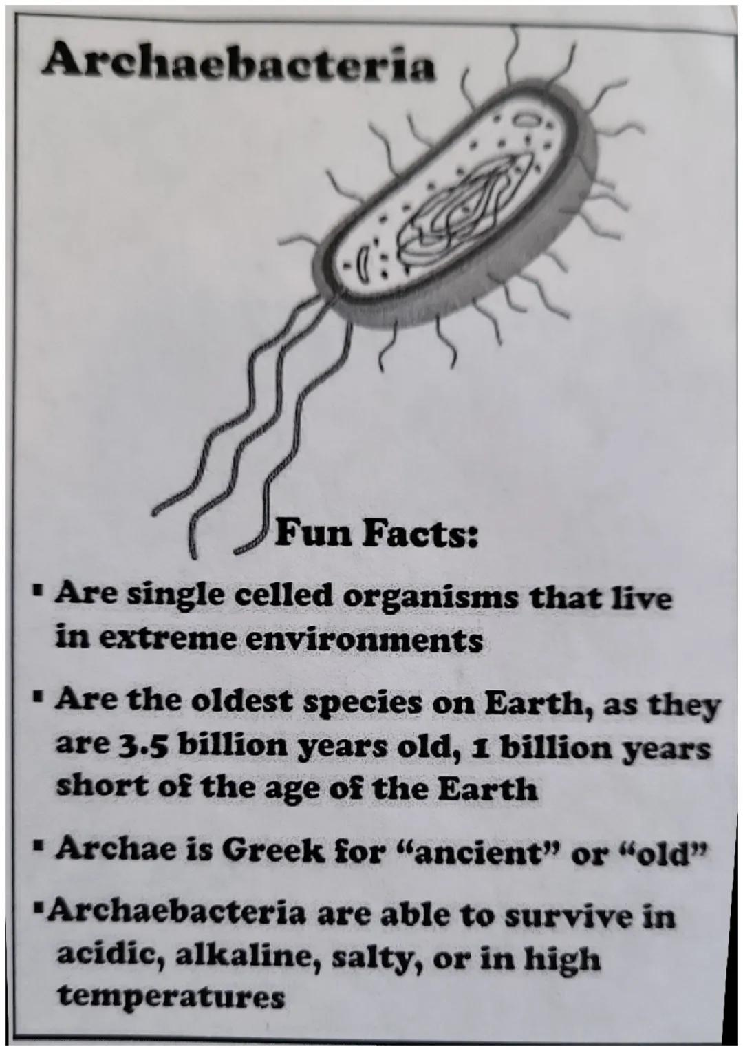 # The Six Kingdoms
## of Life # Archaebacteria

Fun Facts:

■ Are single celled organisms that live
in extreme environments

■ Are the oldes