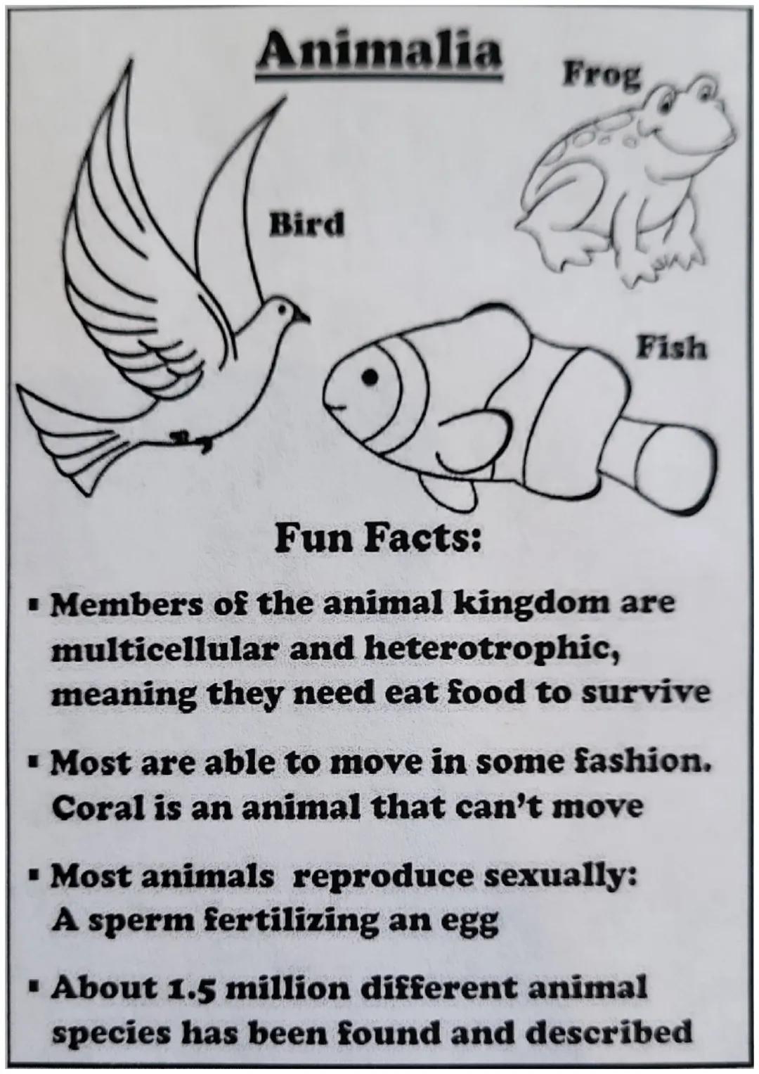 # The Six Kingdoms
## of Life # Archaebacteria

Fun Facts:

■ Are single celled organisms that live
in extreme environments

■ Are the oldes