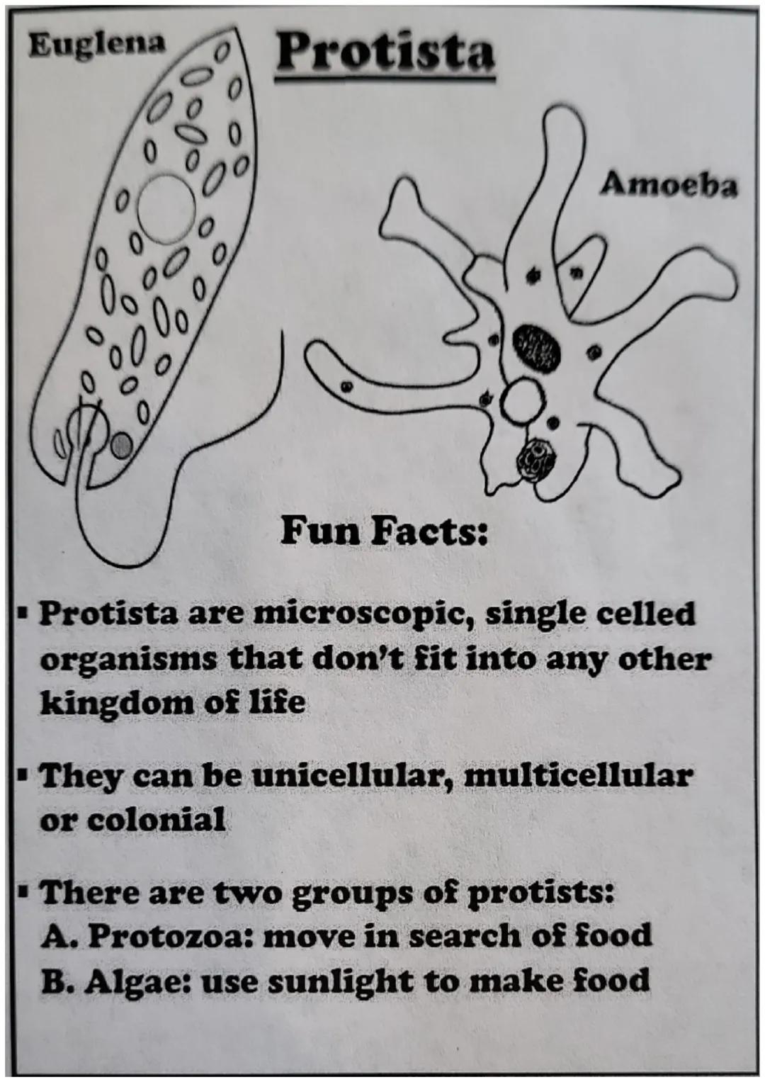 # The Six Kingdoms
## of Life # Archaebacteria

Fun Facts:

■ Are single celled organisms that live
in extreme environments

■ Are the oldes