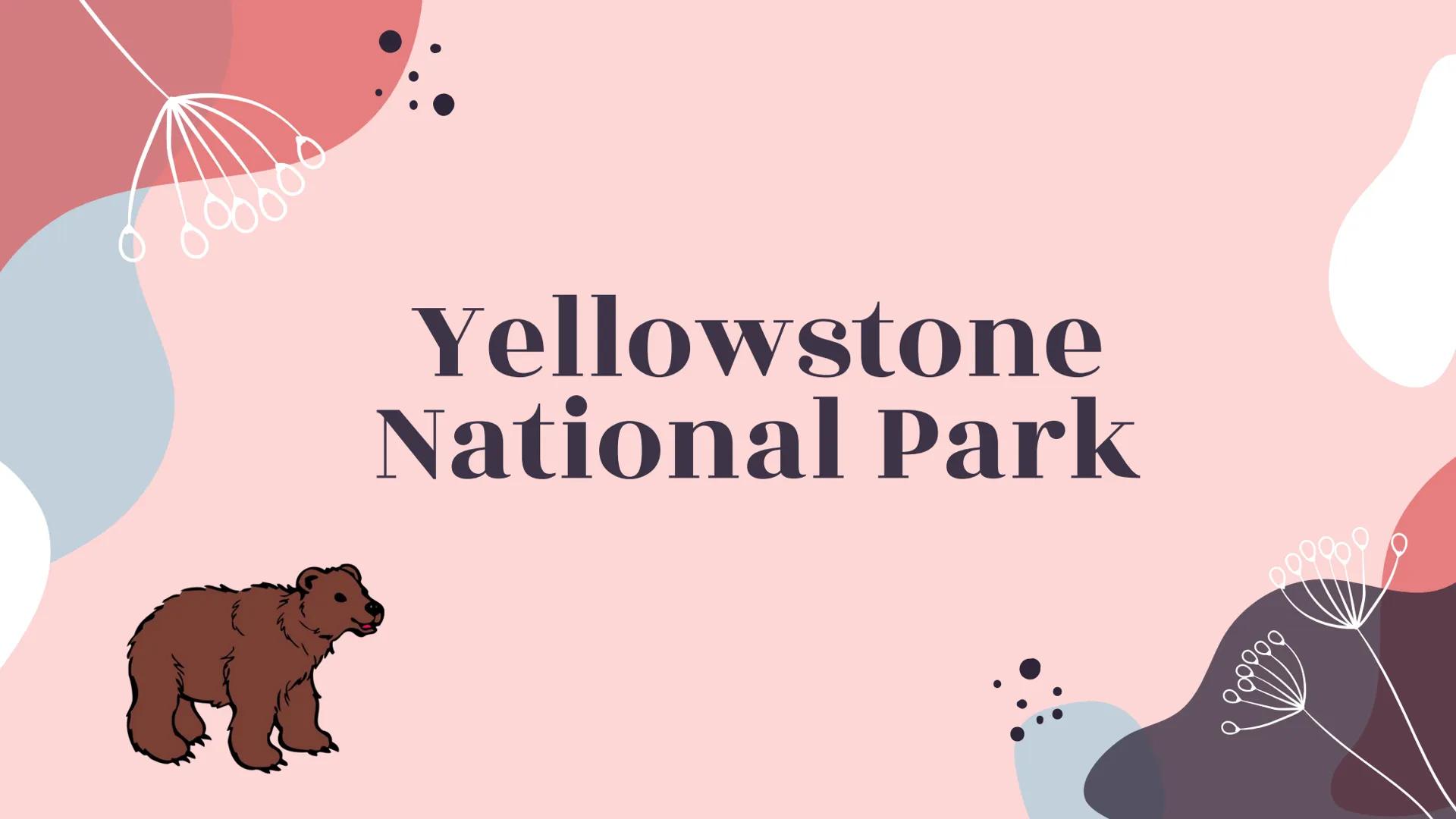 # Yellowstone
National Park # About Yellowstone

- First National Park
- Half of all the world's known geothermal features
-
-
-
World's lar