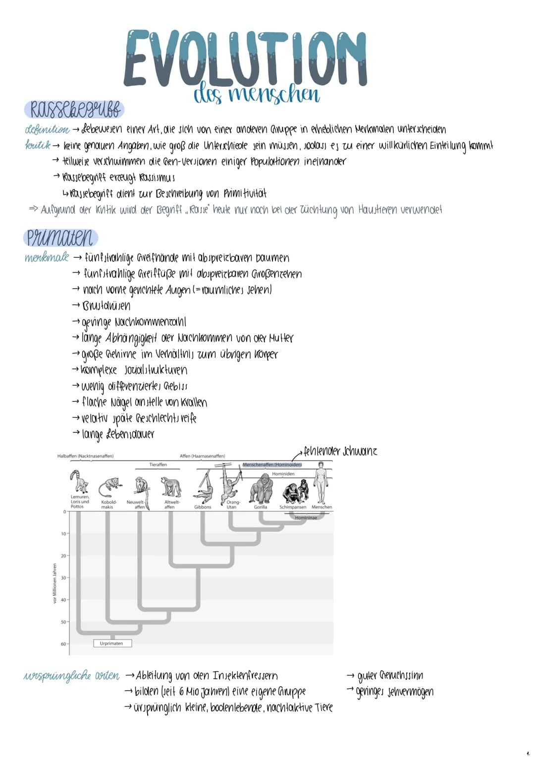 # EVOLUTION
des menschen

Milic
Rassebegriff

definition Lebewesen einer Art, die sich von einer anderen Gruppe in erheblichen Merkmalen unt