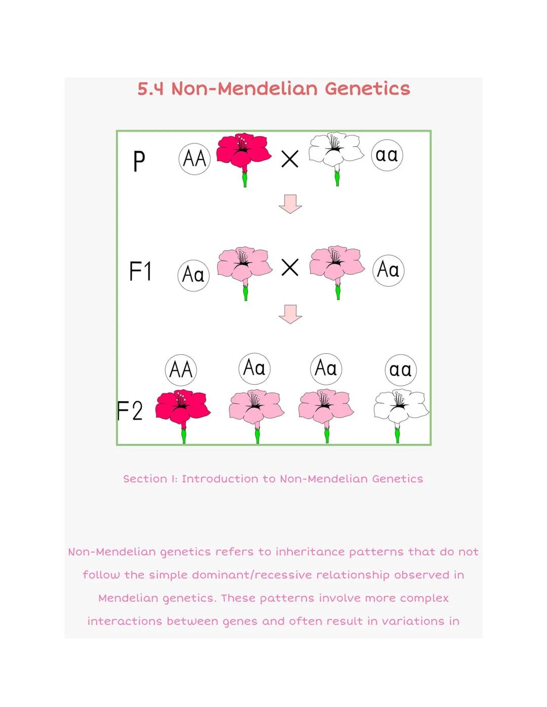 ## 5.4 Non-Mendelian Genetics

P
AA
αα

F1 Aa
X
Aa

AA
Aa
Aa
αα

F2

Section 1: Introduction to Non-Mendelian Genetics

Non-Mendelian geneti