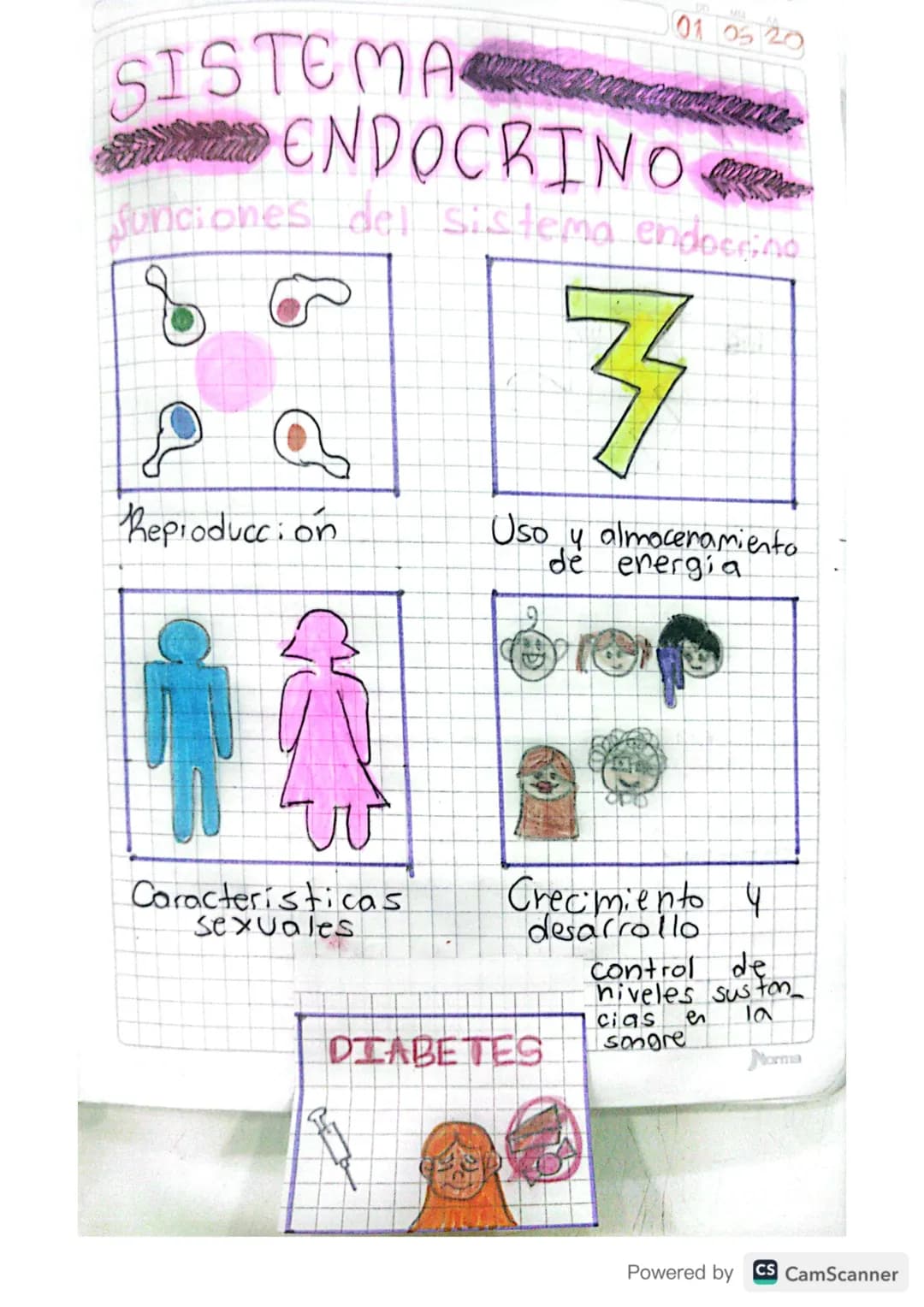 SISTEMA
ENDOCRINO
01 05 20
funciones del sistema endocrino

Reproducci on

7

Uso y almacenamiento
de energia


Características
sexuales

Cr
