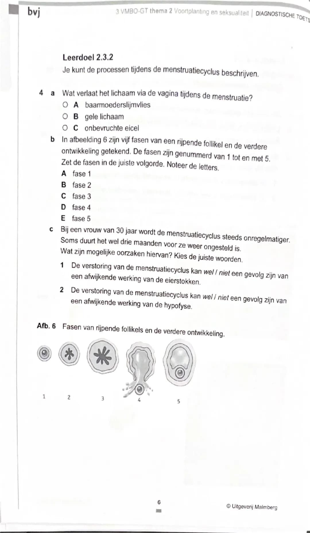 bvj
3 VMBO-GT thema 2 Voortplanting en seksualiteit | DIAGNOSTISCHE TOETS

Je kunt de opdrachten van de Diagnostische toets maken om je voor