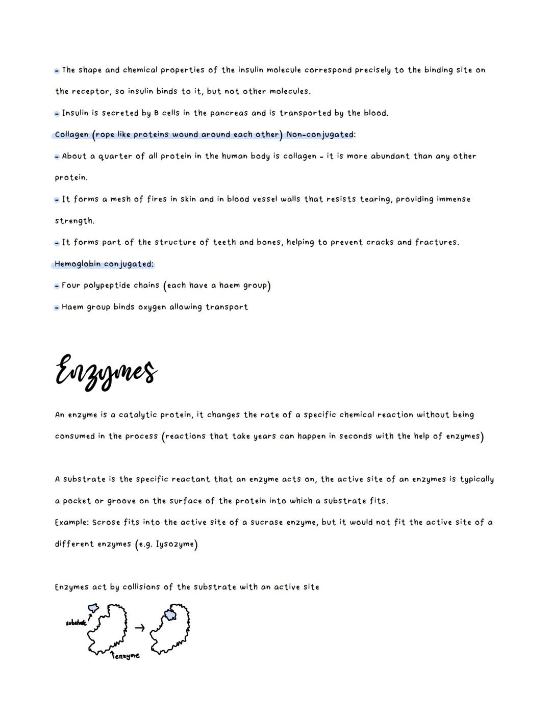 # Biology notes

Amino Acids:
*   There are twnety amino acids that are commonly used
*   There can be one or more chains to form a protein
