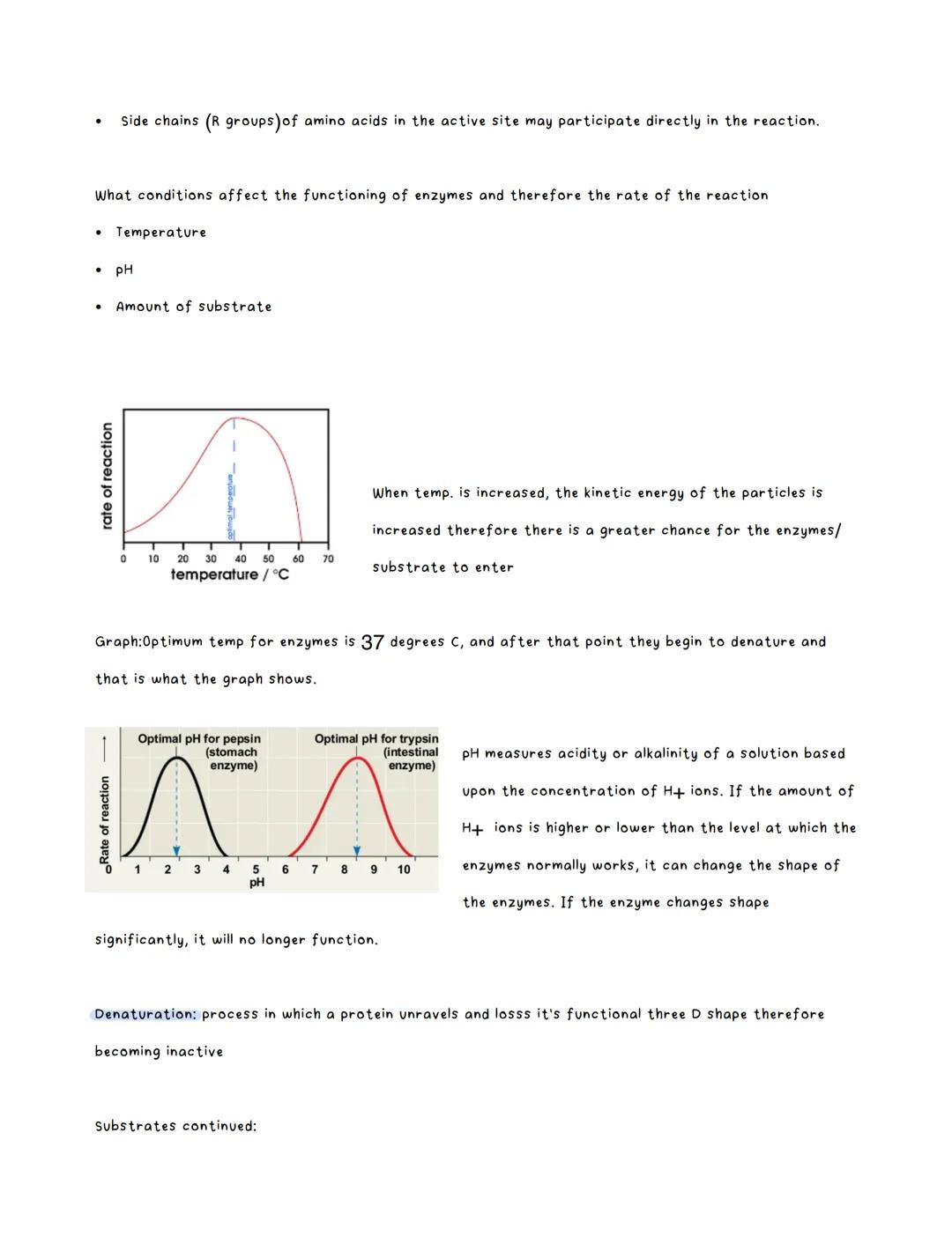 # Biology notes

Amino Acids:
*   There are twnety amino acids that are commonly used
*   There can be one or more chains to form a protein
