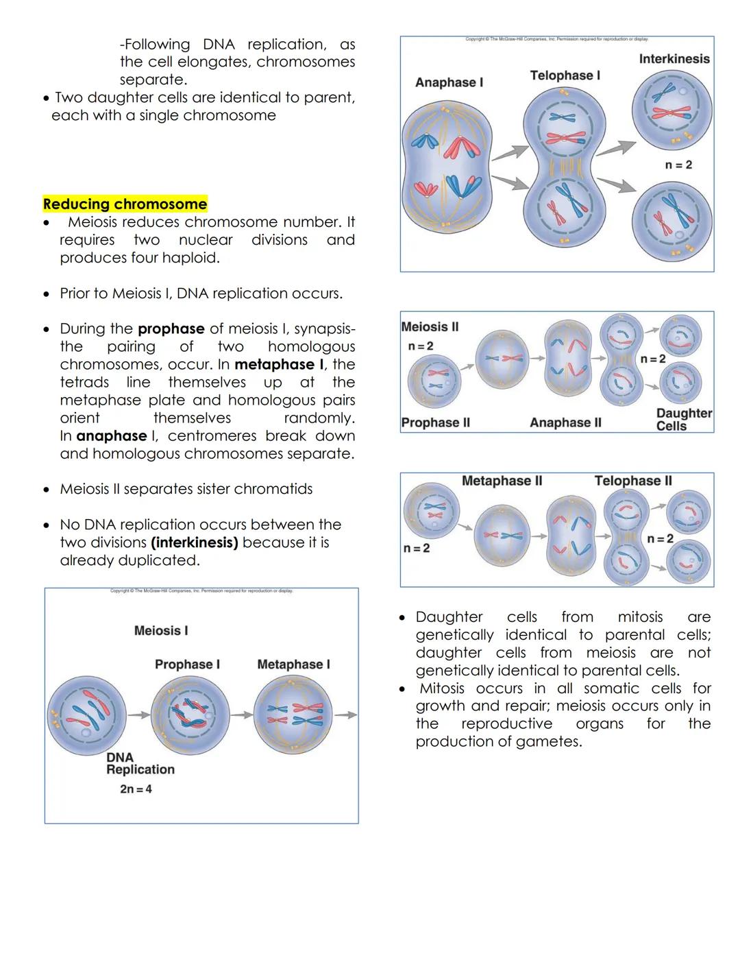 SOMATIC CELLS
-Body cells; for growth and repair

Chromatin
- Mass of genetic material composed of
DNA and proteins that condense to form
ch