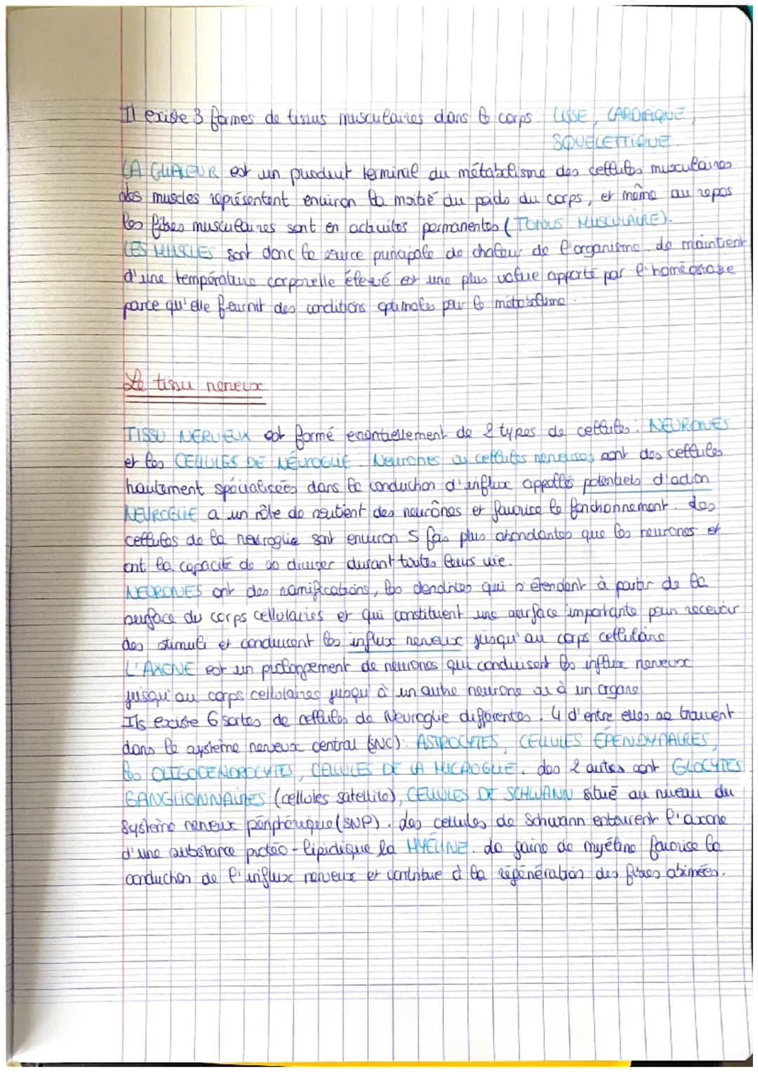 # Chapibe 4

des bisus

Tissu groupe de cellules semblables que semplicent, ensemise, une fonction
spécialisée. de corps cot composé de plus