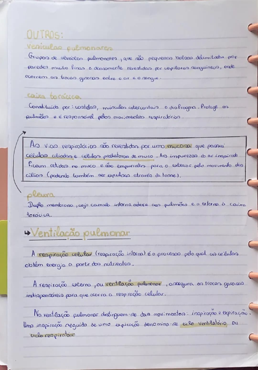 # Sistema Respiratório

O sistema respiratório tem como função assegurar as trocas gasosas
entre o ar e o sangue.

Sistema respiratório

Pul