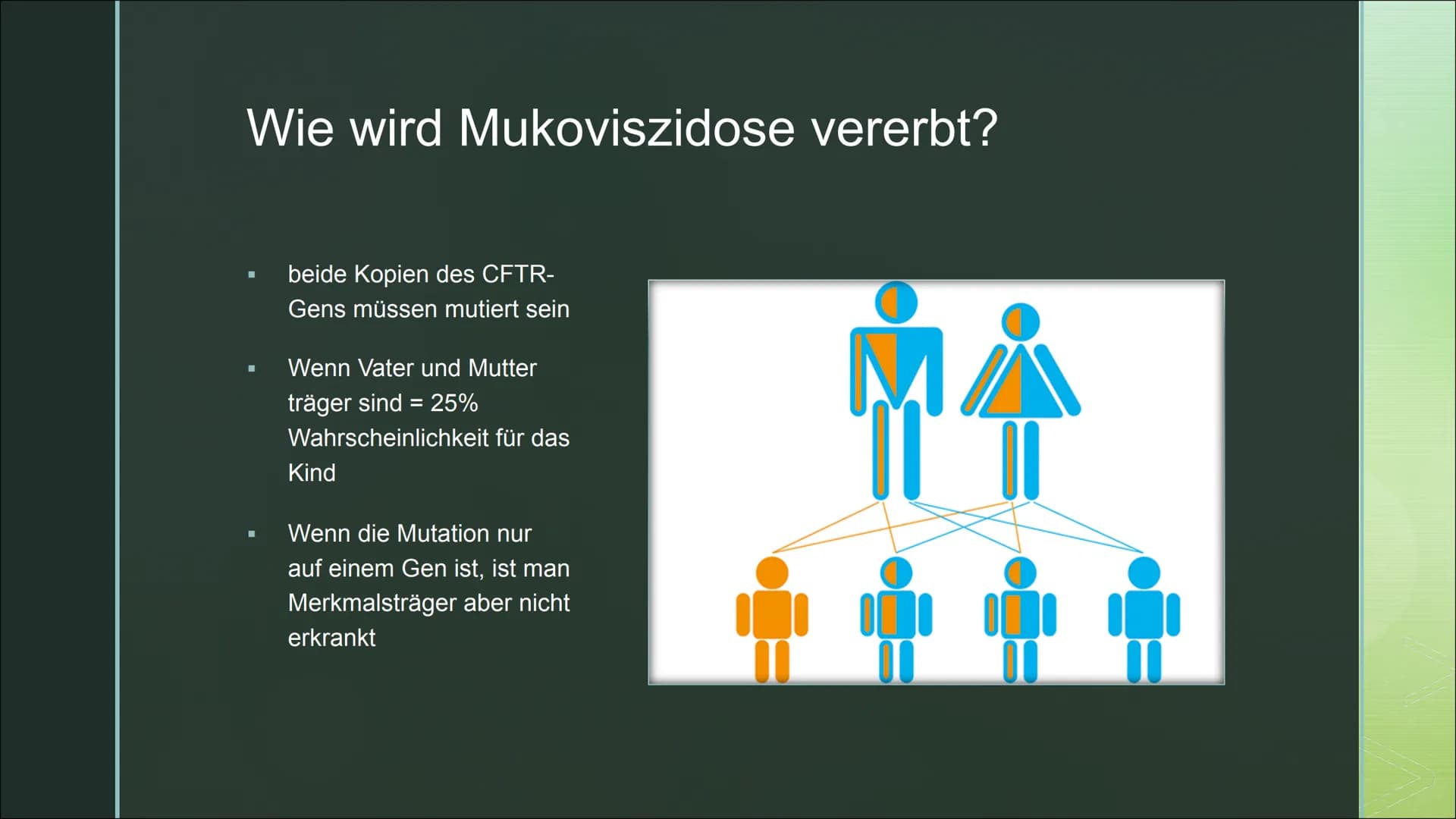 Von Fabienne Frentzen

Mukoviszidose Π

Π Was ist Mukoviszidose?

Π Wie wird Mukoviszidose vererbt?

Π Allgemeines Krankheitsbild

Π Welche 