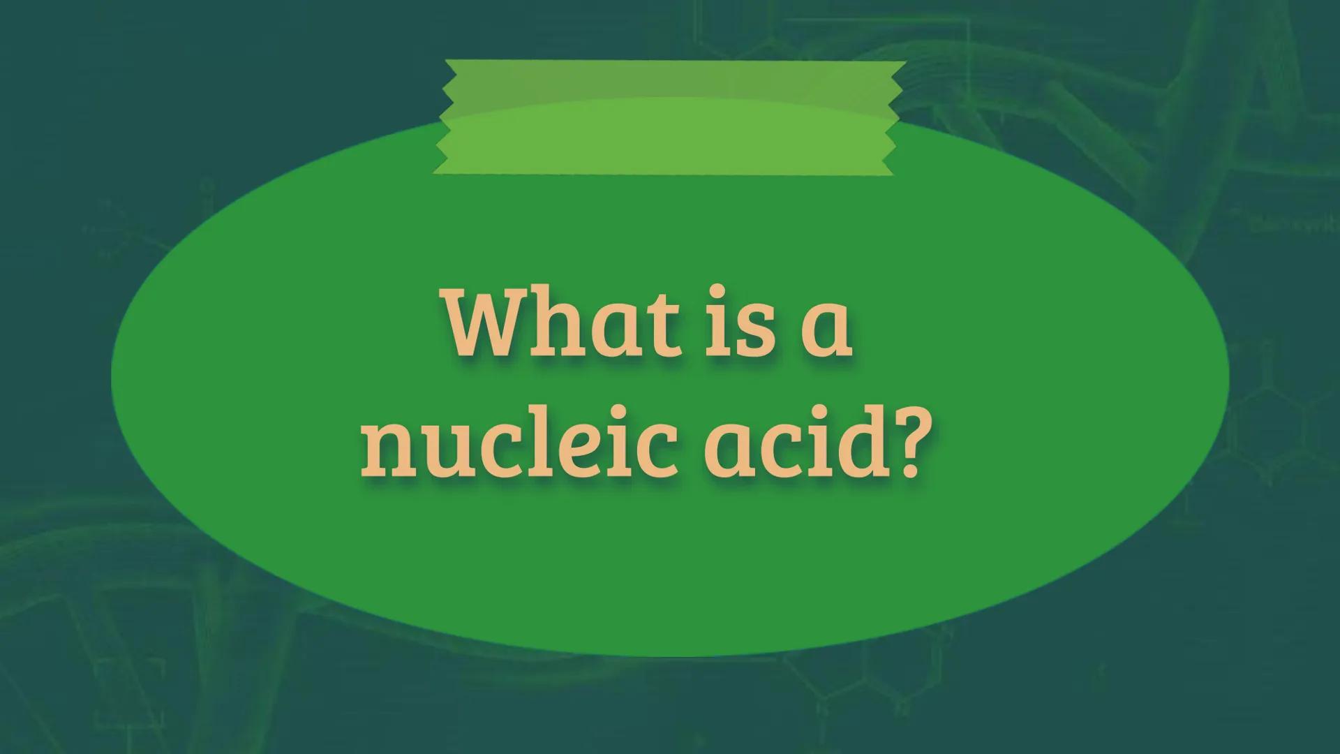 # NUCLEIC
# ACID When you hear the word
"nucleic acid", what
comes to your mind? # History on
Background # Friedrich Miescher
• was a Swiss 