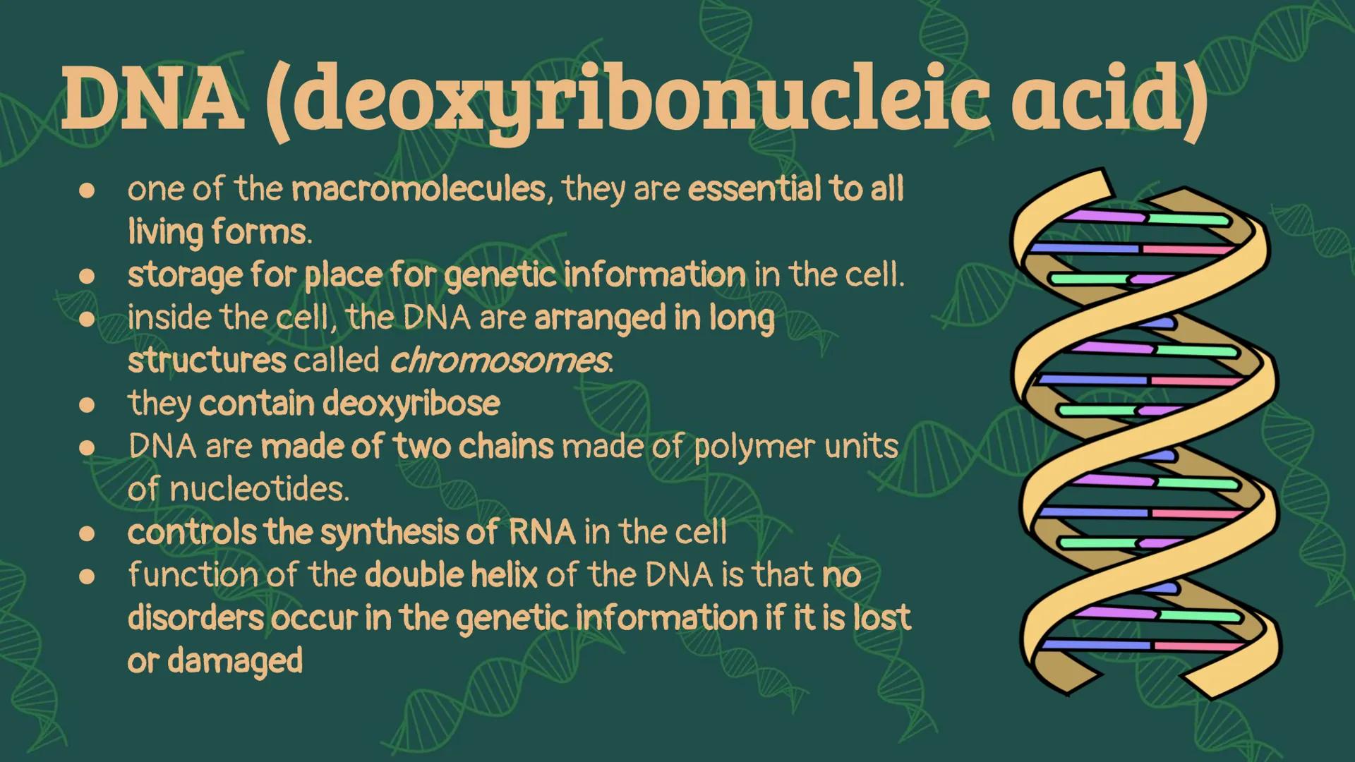 # NUCLEIC
# ACID When you hear the word
"nucleic acid", what
comes to your mind? # History on
Background # Friedrich Miescher
• was a Swiss 