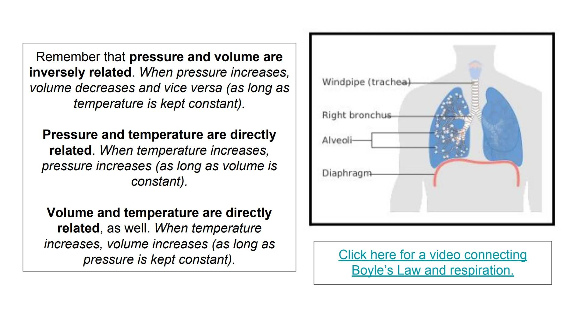 Boyle's Law & Breathing

Breathing in

Air in

Air out

Rib cage expands

Rib cage shrinks

Lungs expand

Diaphragm tightens

Diaphragm rela