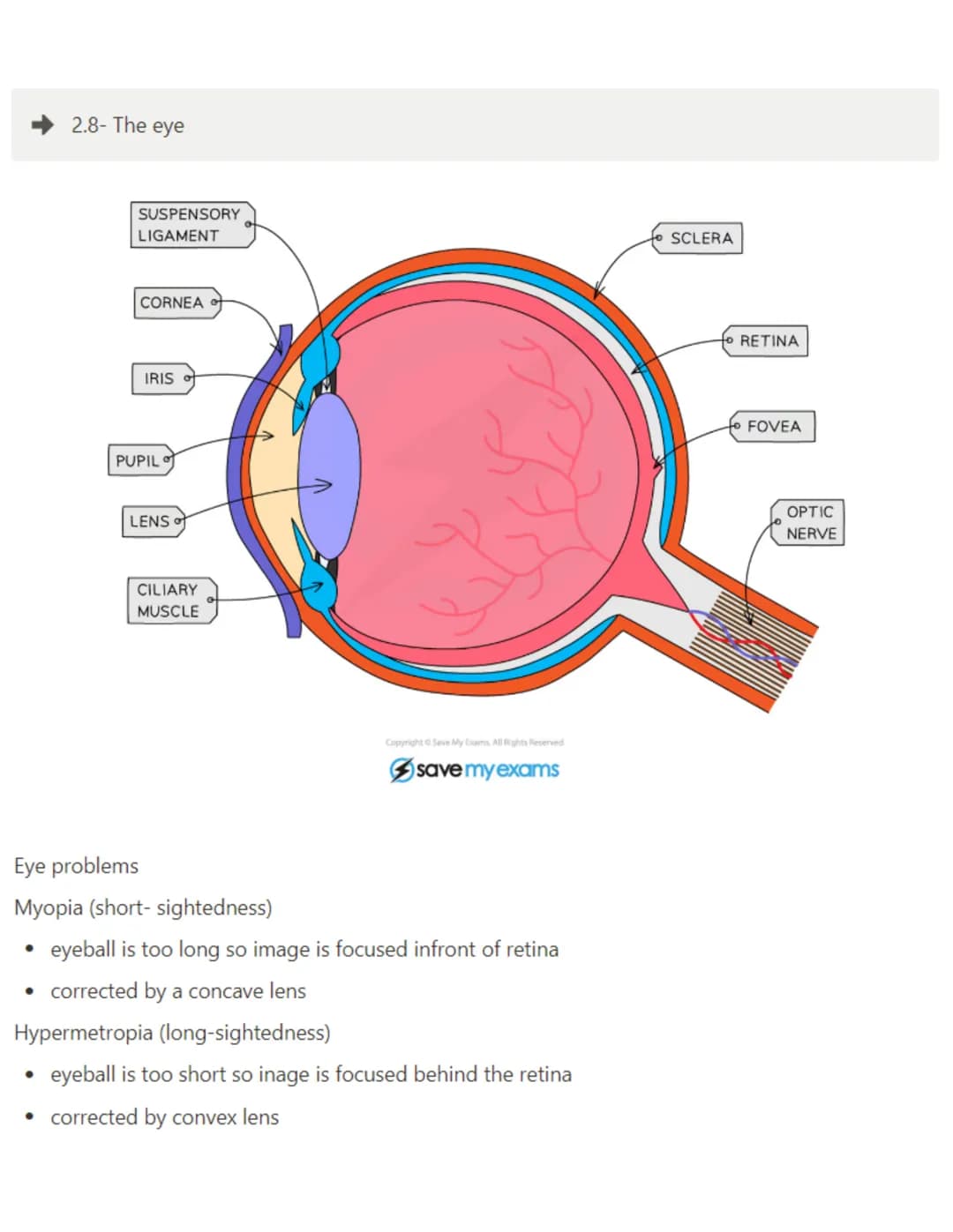 2.1- Mitosis

Mitosis - The asexual reproduction of diploid cells to produce two genetically identical diploid
daughter cells

Asexual repro