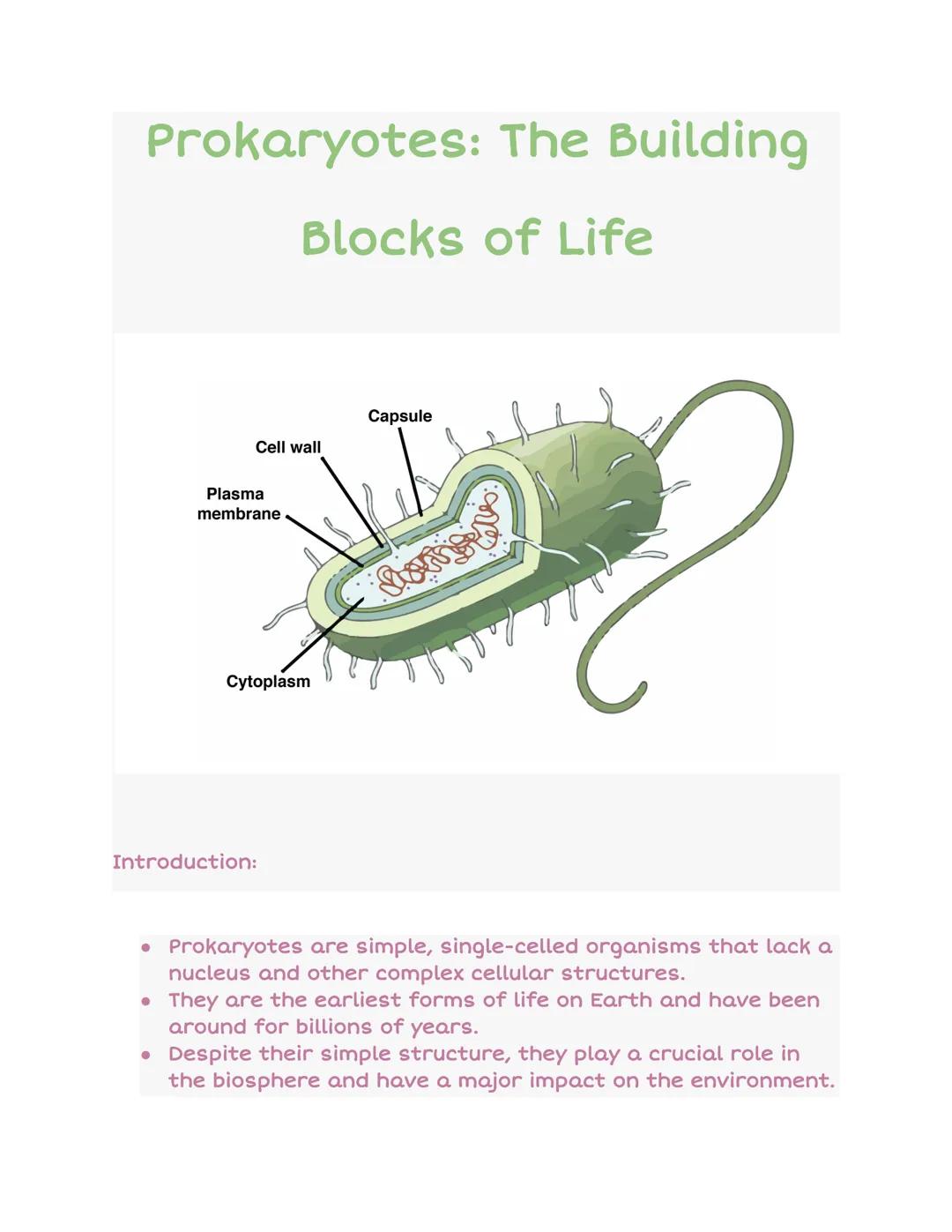 # Prokaryotes: The Building

Blocks of Life

Cell wall

Plasma
membrane

Cytoplasm

Capsule

Introduction:

*   Prokaryotes are simple, sing