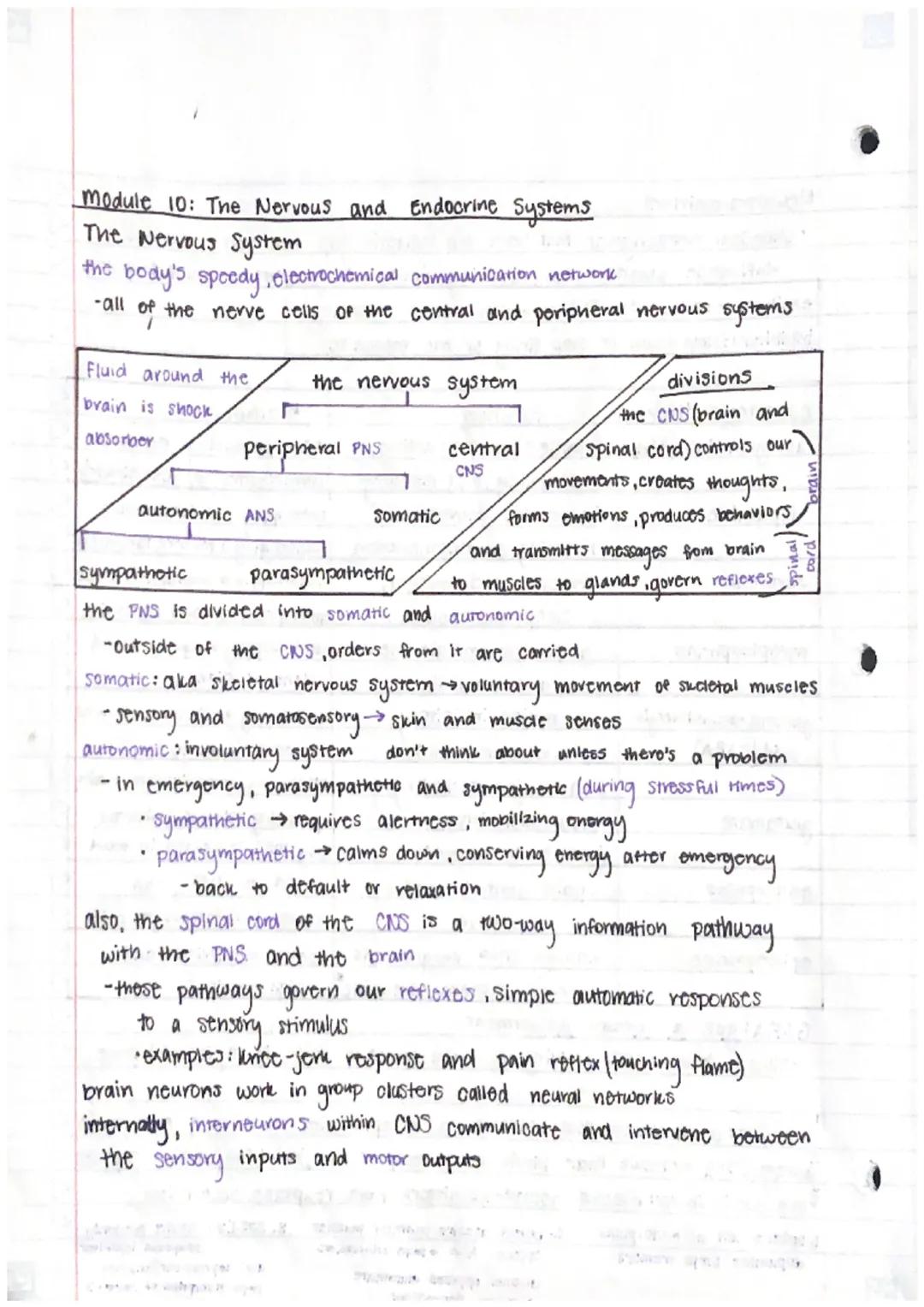Unit 3 -Biological Bases of Behavior (12)
Module 9: Biological Psychology and Neurotransmittion.
Neural Communication
generate electricity: 