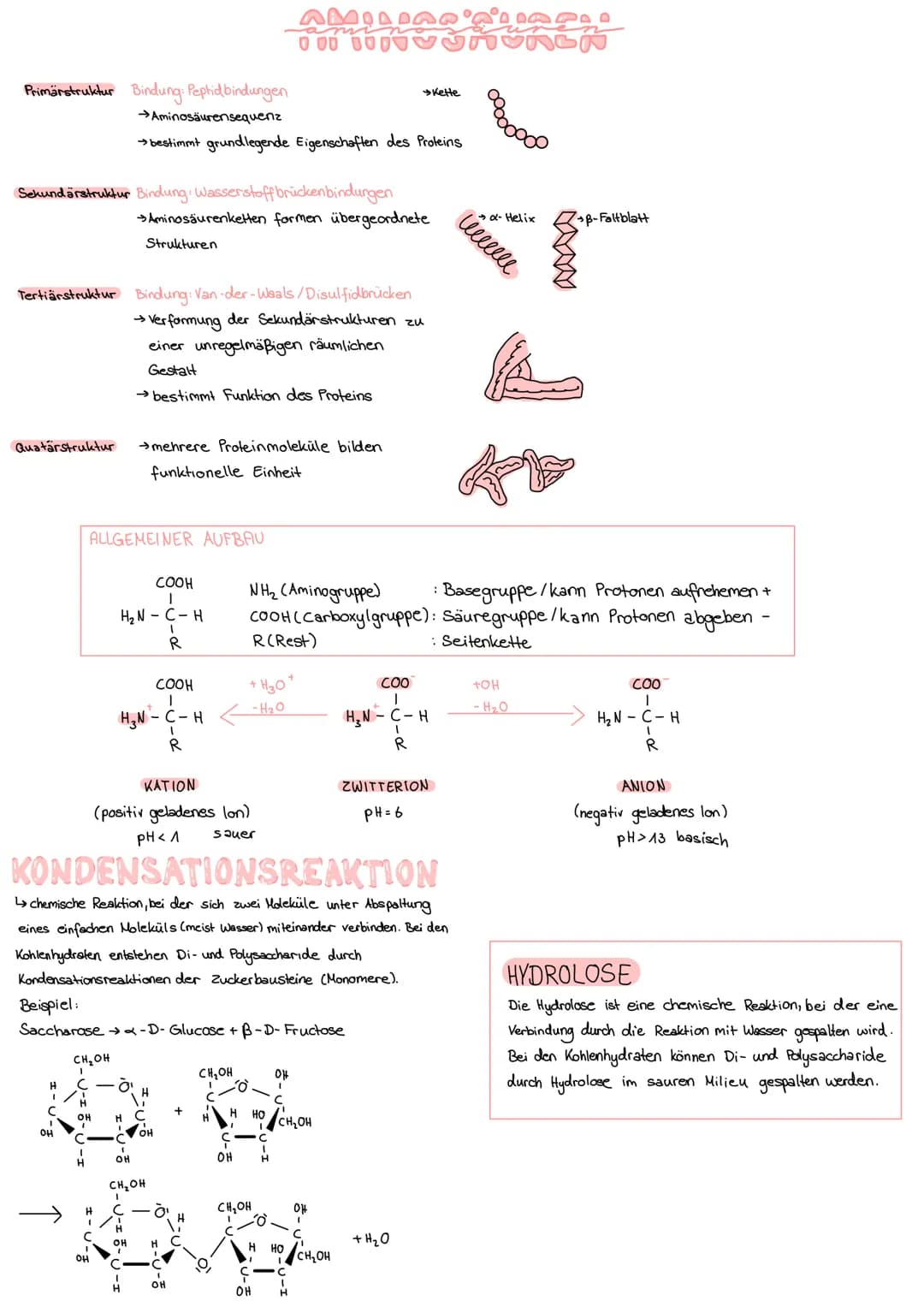 # FISCHER PROJEKTION ZU HAWORTH PROJEKTION

FISCHER-PROJEKTION

90 Drehung

$
\begin{array}{c}H-C-OH \\
H0-C-H \\
H-C-OH \\
A-C-04 \\
CH₂OH
