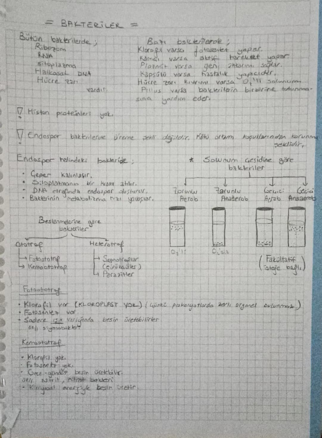 # BAKTERİLER =

Bütün bakterilerde ;
Ribozom
RNA
sitoplazma
Halkasal DINA
Hücre za
vardır

- Histon proteinleri yok.

Batı bakterilerde;
Klo