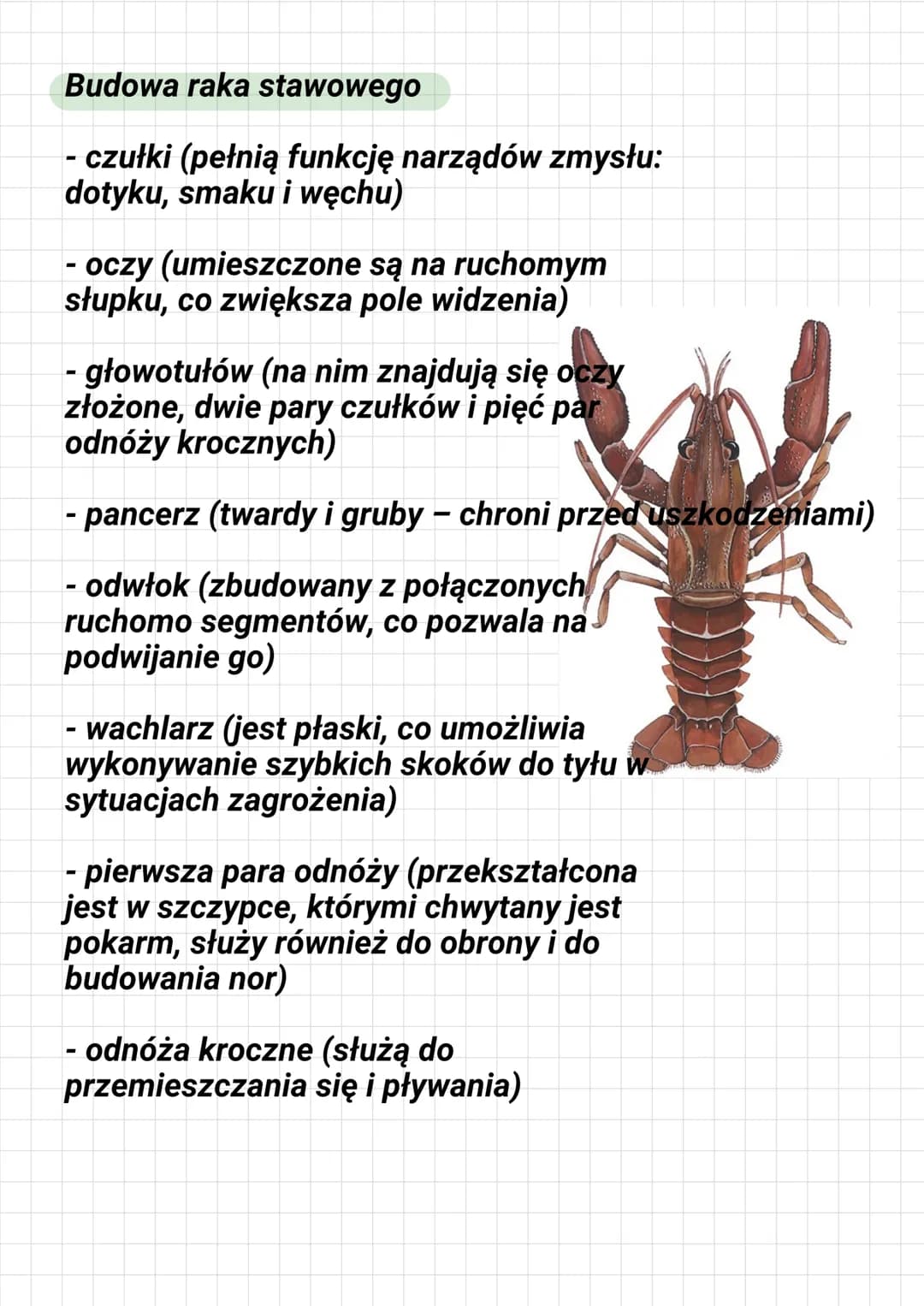 # DZIAŁ III STAWONOGI I MIĘCZAKI

Co to jest staw?

To ruchome połączenie części
szkieletu

Gdzie żyją stawonogi?

Stawonogi żyją prawie we 