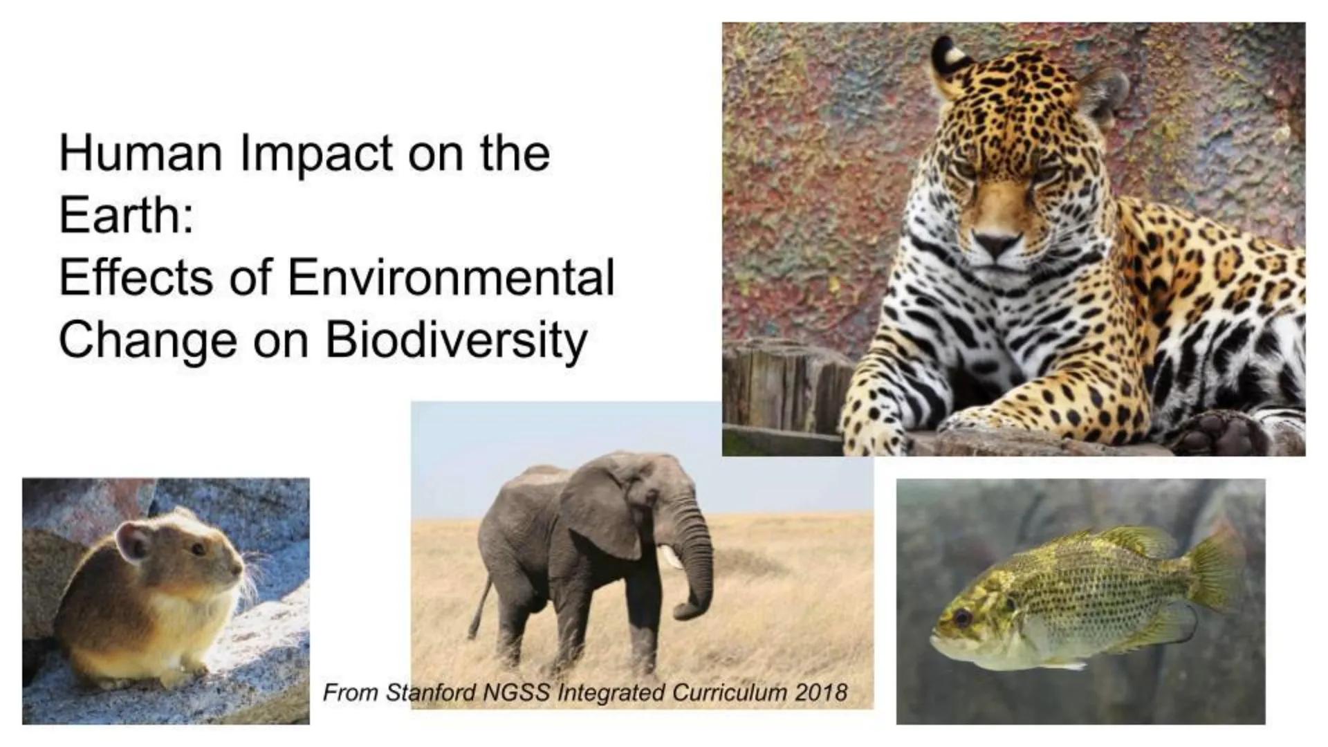 Human Impact on the
Earth:
Effects of Environmental
Change on Biodiversity

From Stanford NGSS Integrated Curriculum 2018 Case Study #1: Eff