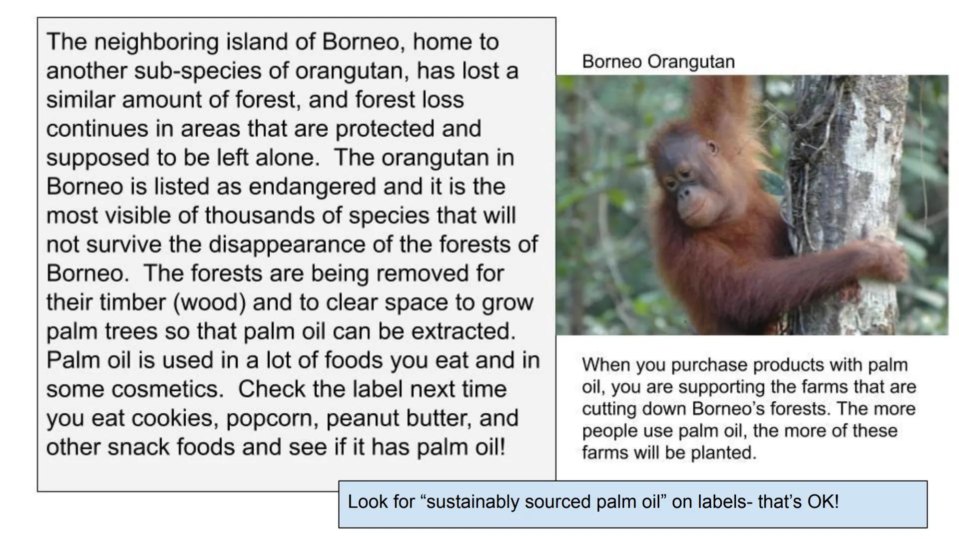 Human Impact on the
Earth:
Effects of Environmental
Change on Biodiversity

From Stanford NGSS Integrated Curriculum 2018 Case Study #1: Eff