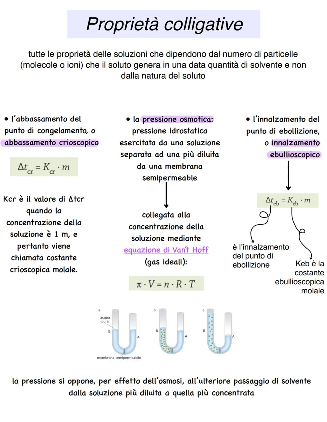 # LE SOLUZIONI

Una soluzione è una miscela omogenea di due o più specie chimiche che non
sono più distinguibili visivamente e che mantengon