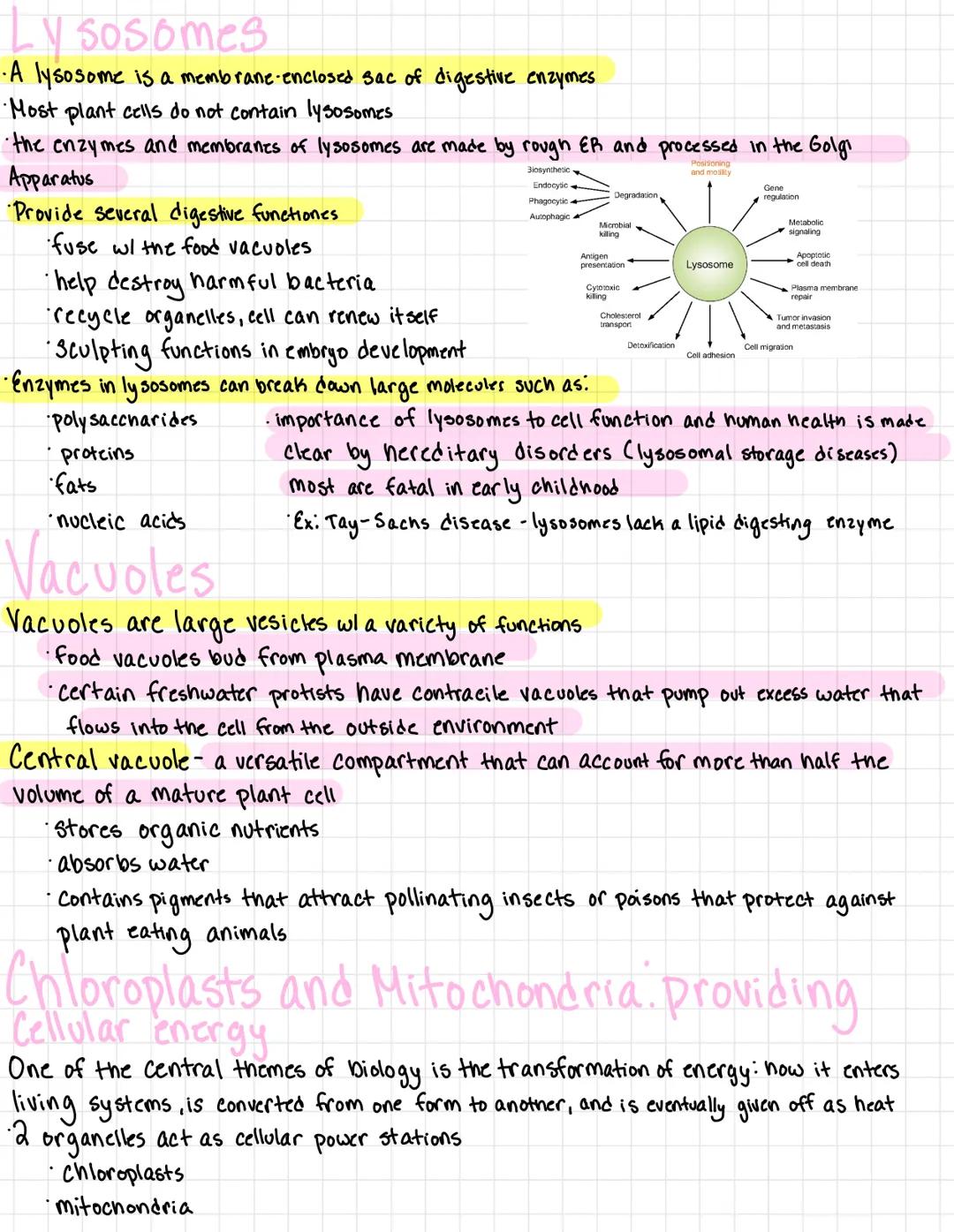 # A tour of the cell

Organisms are either single celled
*   prokaryotes
*   Protists

or multicellular
*   plants
*   animals
*   most fung