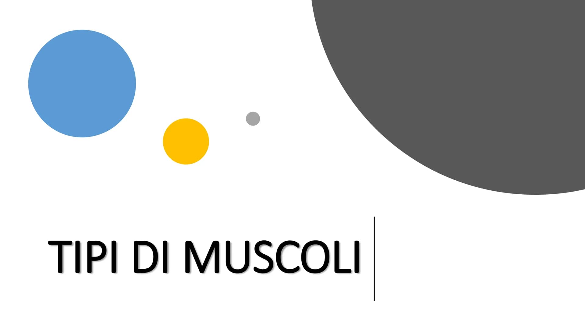 MUSCOLI E
CORPO UMANO I MUSCOLI sono degli
organi presenti in GRAN
NUMERO nel nostro
corpo, ci permettono di
COMPIERE I MOVIMENTI. # TIPI DI