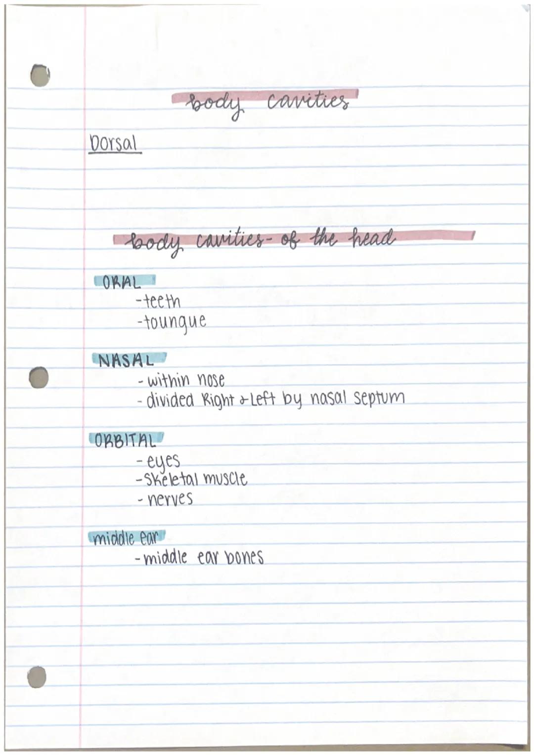 THE LANGUAGE
of
anatomy, and pysiology

anatomy
- parts of the human body
- gross human anatomy
- microscopic human anatomy

Pysiology
Page 