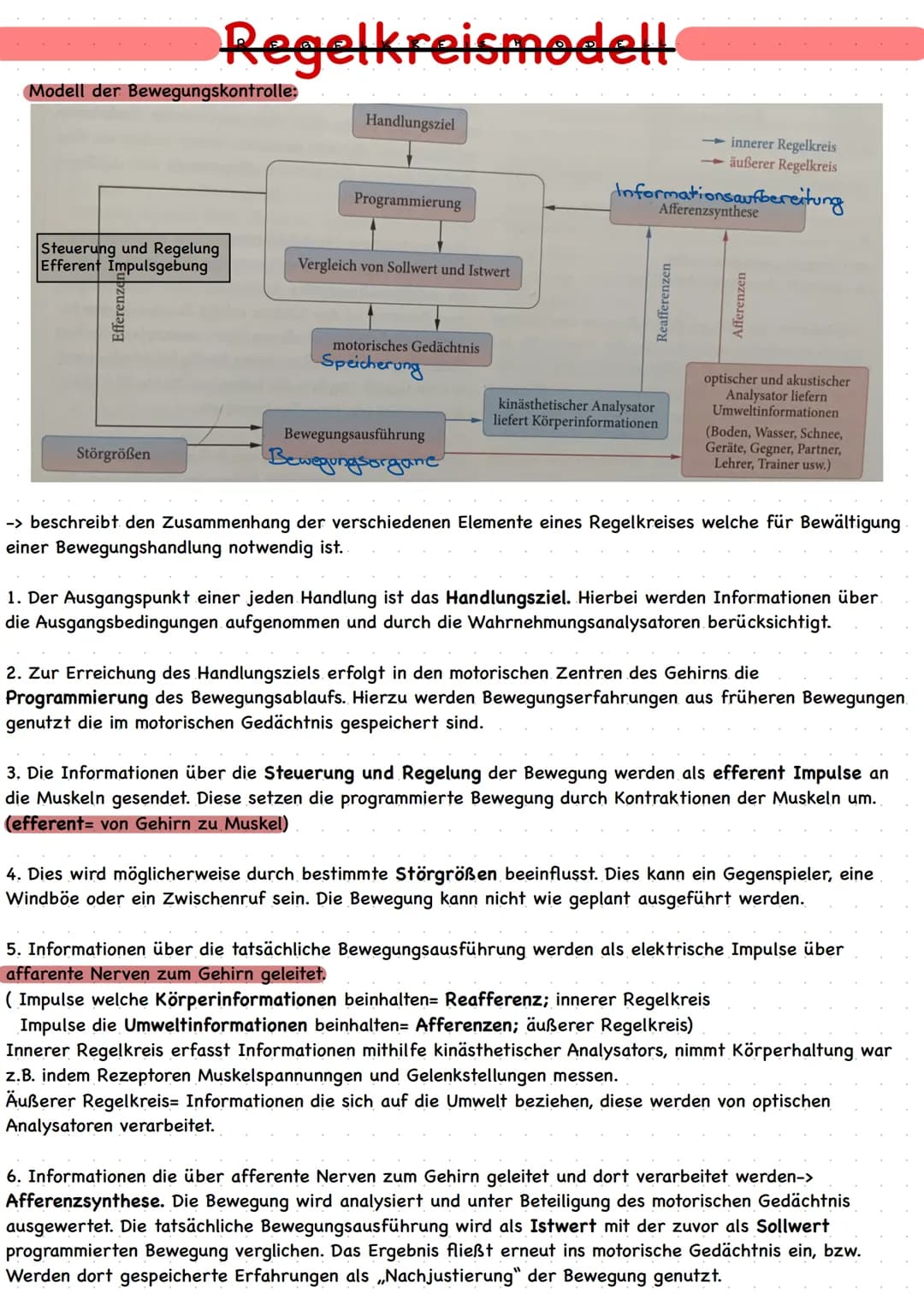 # Regelkreismodell

Modell der Bewegungskontrolle:

Handlungsziel

Steuerung und Regelung
Efferent Impulsgebung

Efferenzen3

Programmierung
