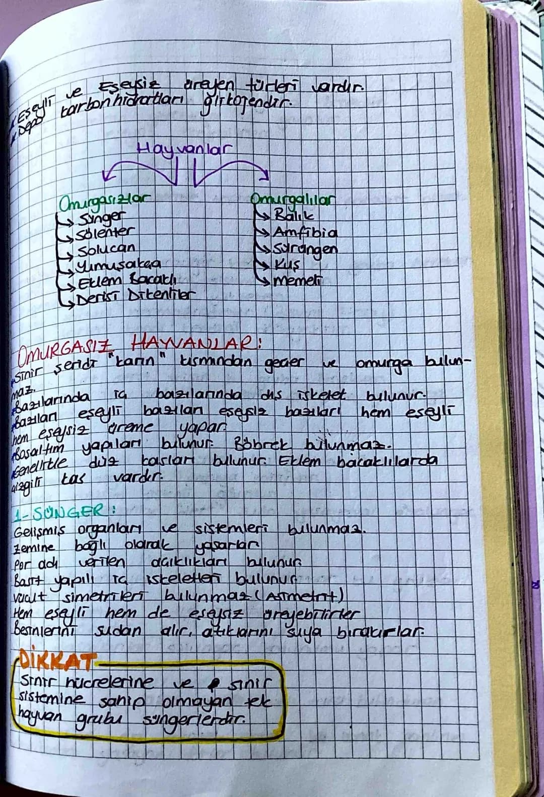 Hayvanlar Alemi
Okanpt hücre yapısına sahiptirler.
Tamamı çok hacrelidir
Taman heterotrop beslenir.
ferman tou yonda yapar.
Tamamı Olli solu