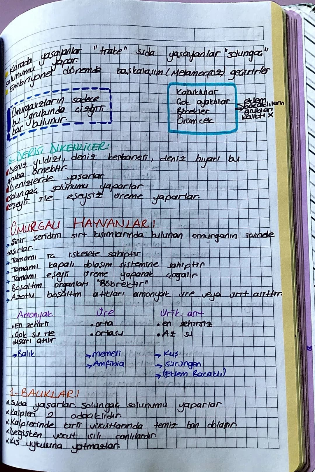 Hayvanlar Alemi
Okanpt hücre yapısına sahiptirler.
Tamamı çok hacrelidir
Taman heterotrop beslenir.
ferman tou yonda yapar.
Tamamı Olli solu