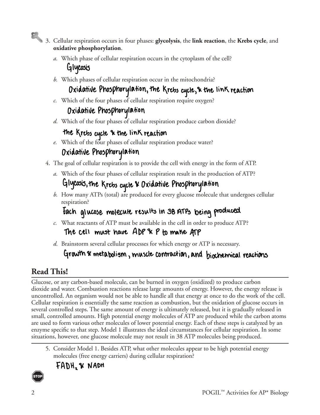 # Cellular Respiration-An Overview
What are the phases of cellular respiration?

## Why?
All cells need energy all the time, and their prima