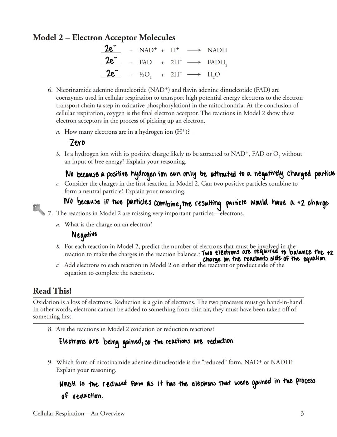 # Cellular Respiration-An Overview
What are the phases of cellular respiration?

## Why?
All cells need energy all the time, and their prima