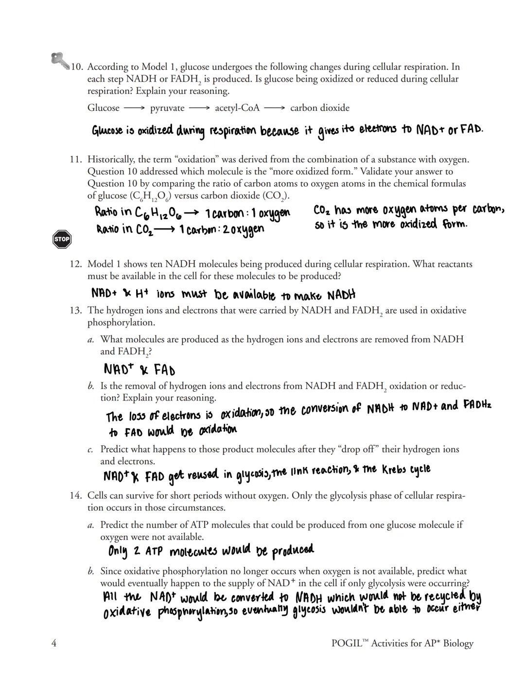 # Cellular Respiration-An Overview
What are the phases of cellular respiration?

## Why?
All cells need energy all the time, and their prima