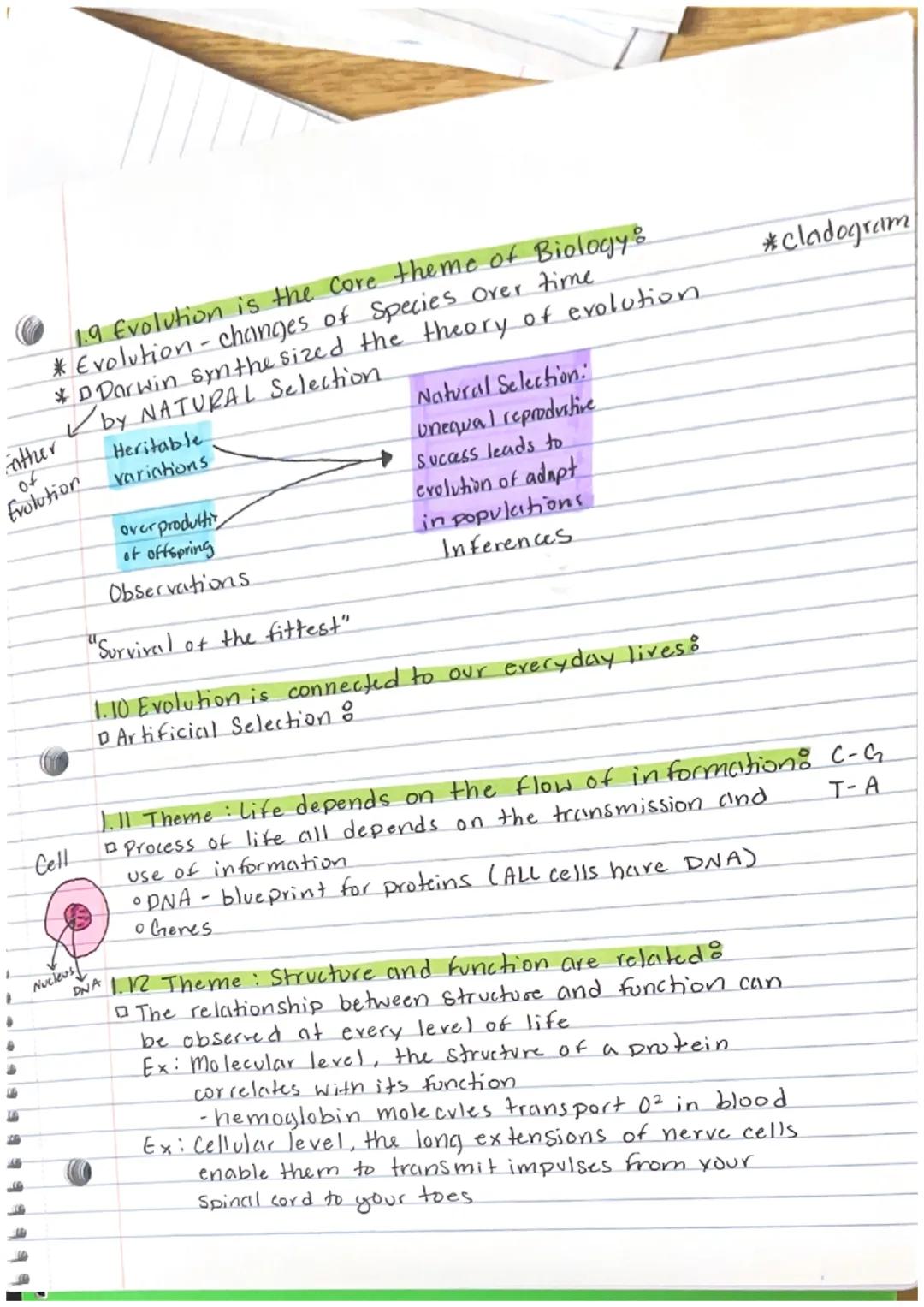 Chapter 1

FYI
What is Biology
*The Study of life
-Virus is not living
FY Pollun is plant sperm # how plants reproduce
Living things adapt t