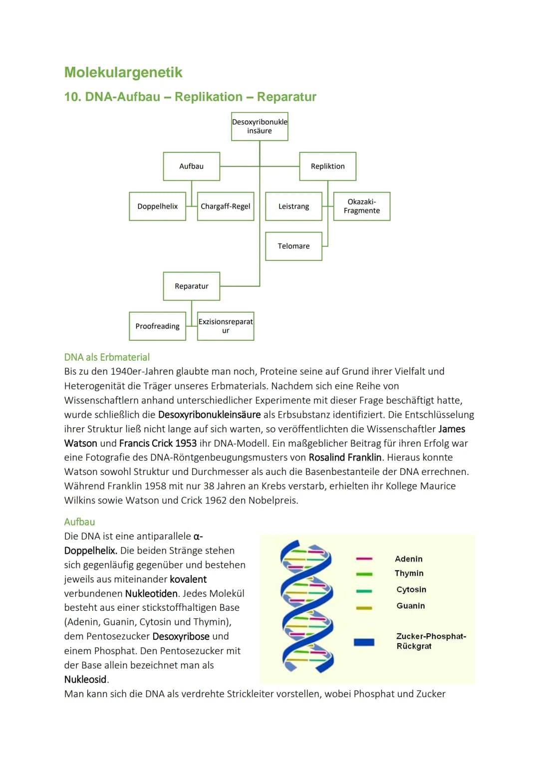 Molekulargenetik

10. DNA-Aufbau - Replikation - Reparatur

Aufbau

Desoxyribonukle
insäure

Repliktion

Doppelhelix Chargaff-Regel Leistran
