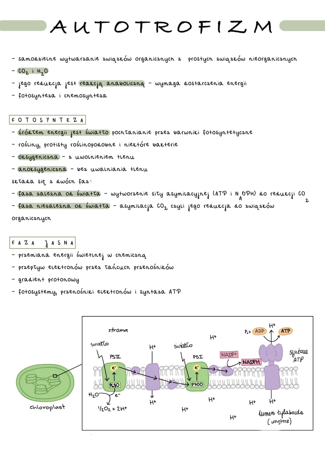 # ΜΕΤΑBOLIZM

catość przemian chemicznych i energetycznych komórki

- anabolizm - reakcje syntezy złożonych związków chemicznych 2
prostszyc