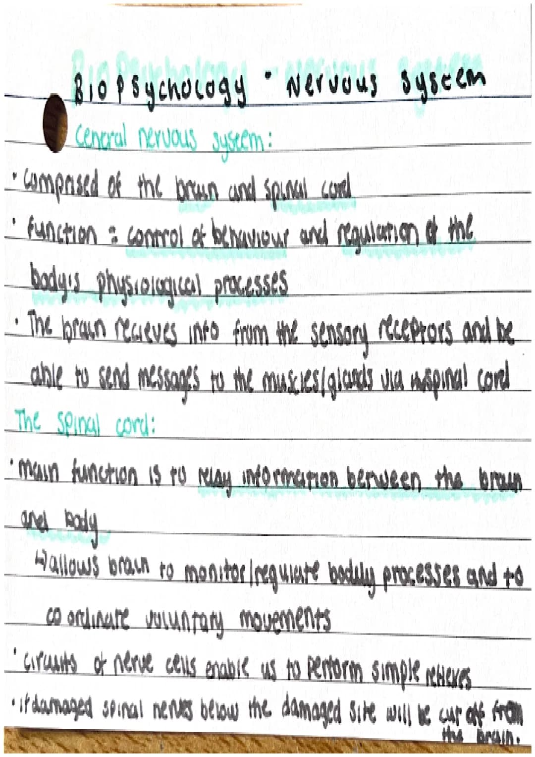 # Biopsychology "Nervous system

Cencral nervous syseem:

*   comprised of the brown and spinal cored
*   function : control of behaviour an