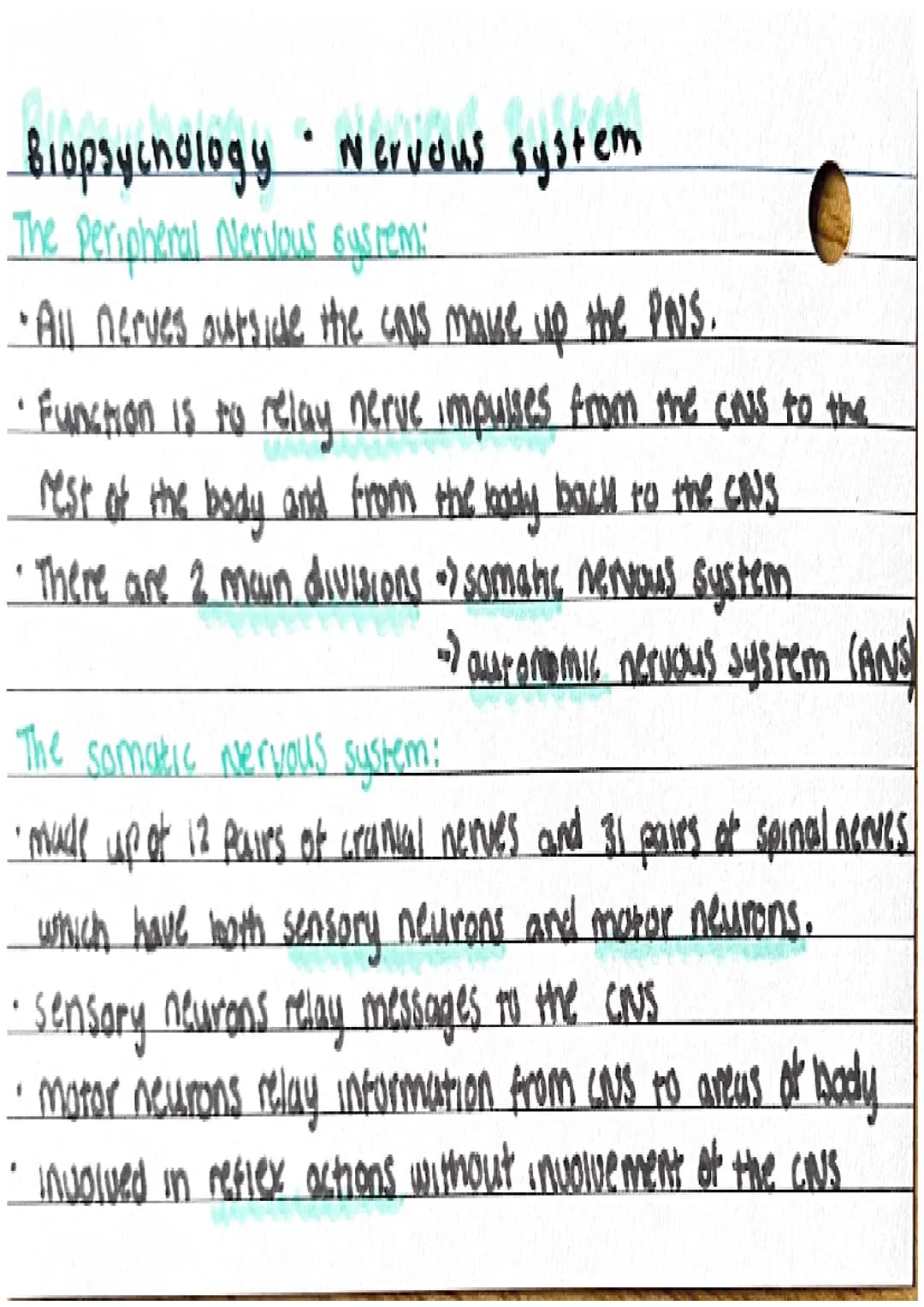 # Biopsychology "Nervous system

Cencral nervous syseem:

*   comprised of the brown and spinal cored
*   function : control of behaviour an