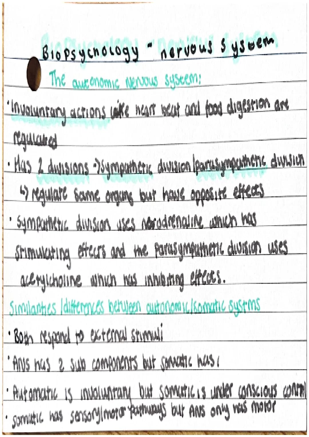 # Biopsychology "Nervous system

Cencral nervous syseem:

*   comprised of the brown and spinal cored
*   function : control of behaviour an