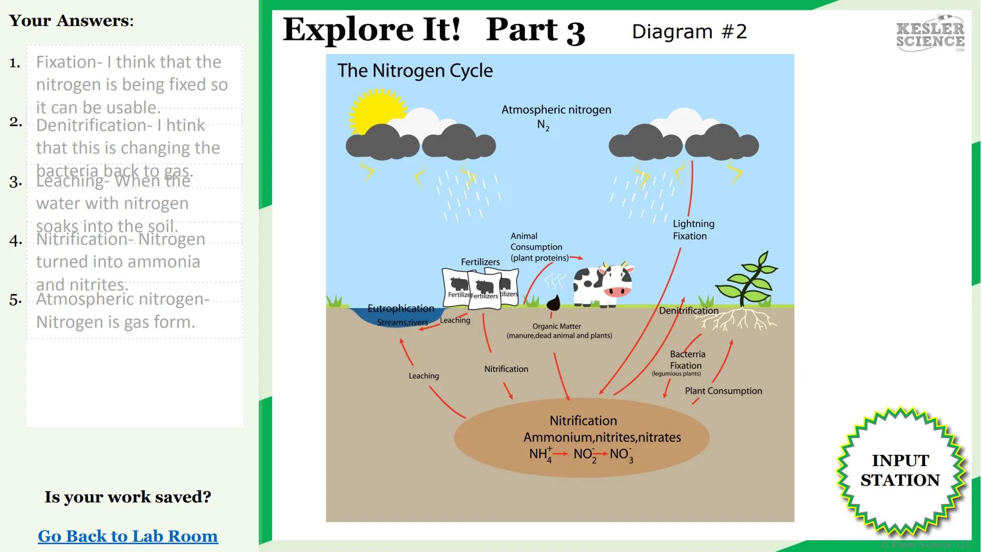 KESLER
SCIENCE

The Lab Room
Nitrogen
Cycle

Challenge It!

Watch It!
Read It!

Write It!
Assess It!

Research It!
Explore It!

Organize It!