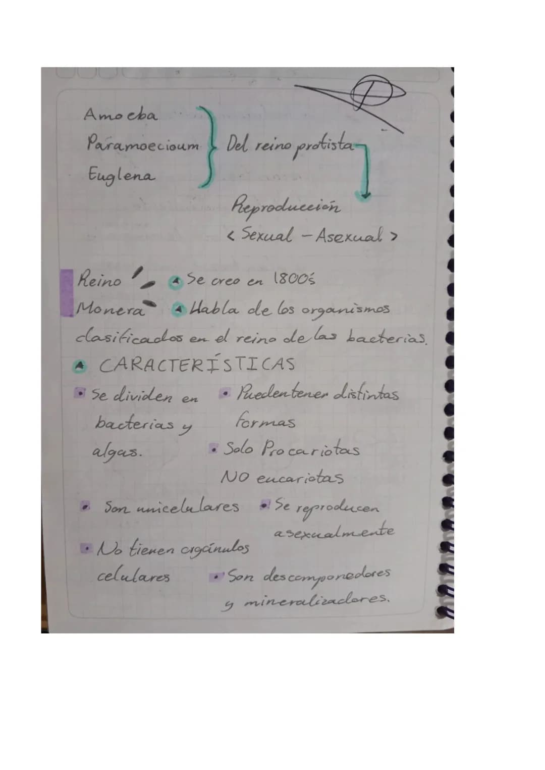 31 10 23 Experimento - Reinos

Reino
Protista

GARACTERIS

Se incluyen todos aquellos
organismos eucariotas y
procariotas.

Presentan movimi