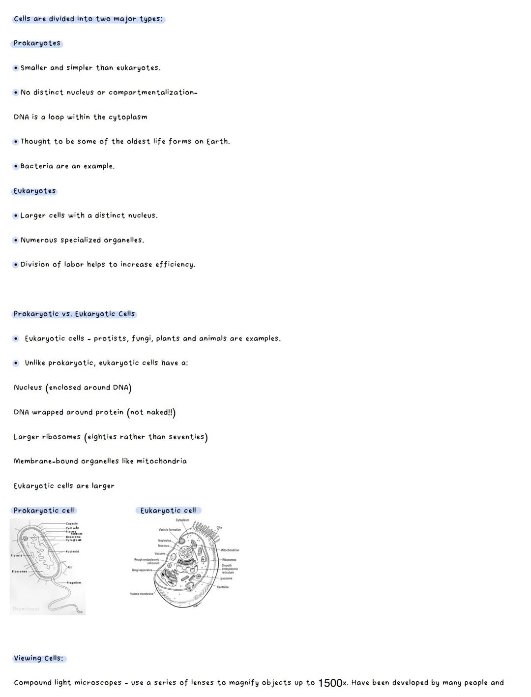 # Biology notes

What are cells?

Cells are the smallest structural and functional unit of an organism, typically microscopic and consistent