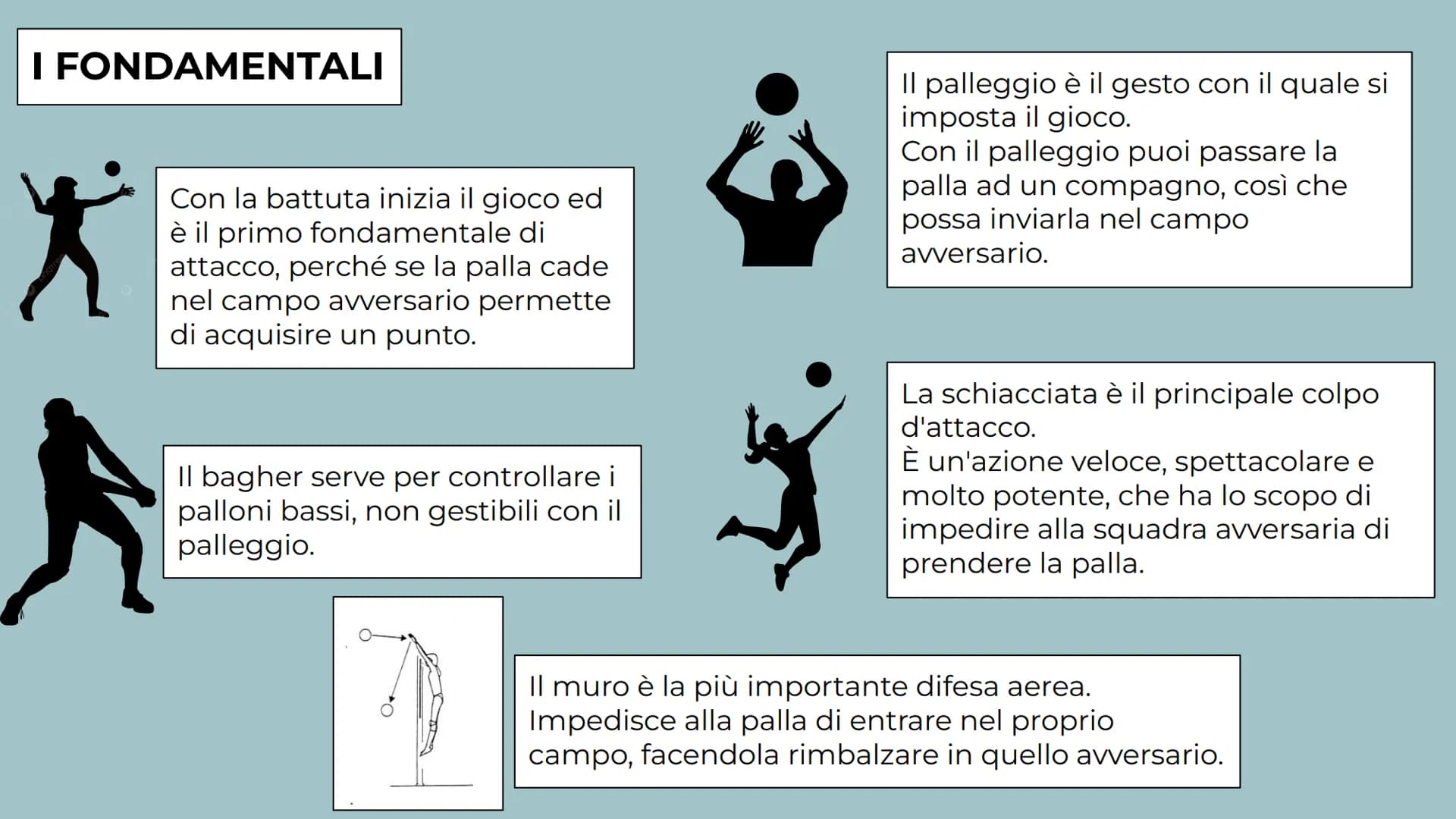 LA

PALLAVOLO La
Pallavolo

Sport di squadra

Due squadre con
in campo, sei
giocatori e altri sei
in panchina per
ognuna delle
squadre.

Spo