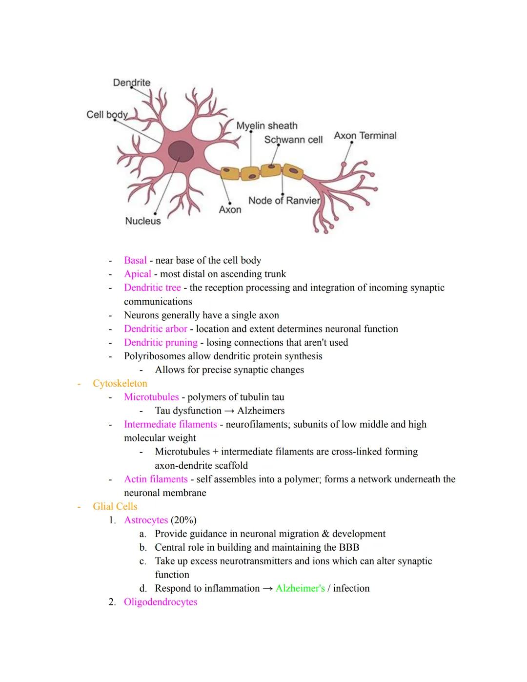 # HELLO BEAUTIFUL HUMANS WE GOT THIS! - Carlie
Yeeeeeee <3 III add my stuff/diagrams (-dora)

# EXAM 1 FORMAT
- Multiple choice
- Few fill i